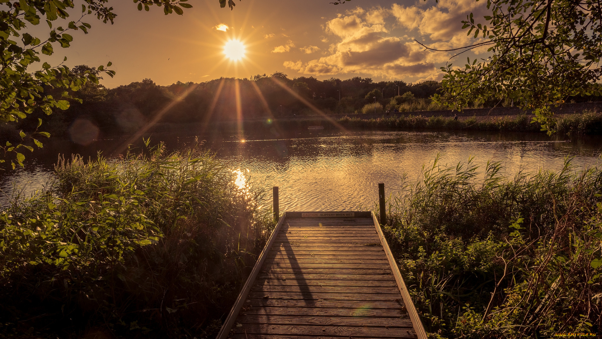 природа, реки, озера, лес, река