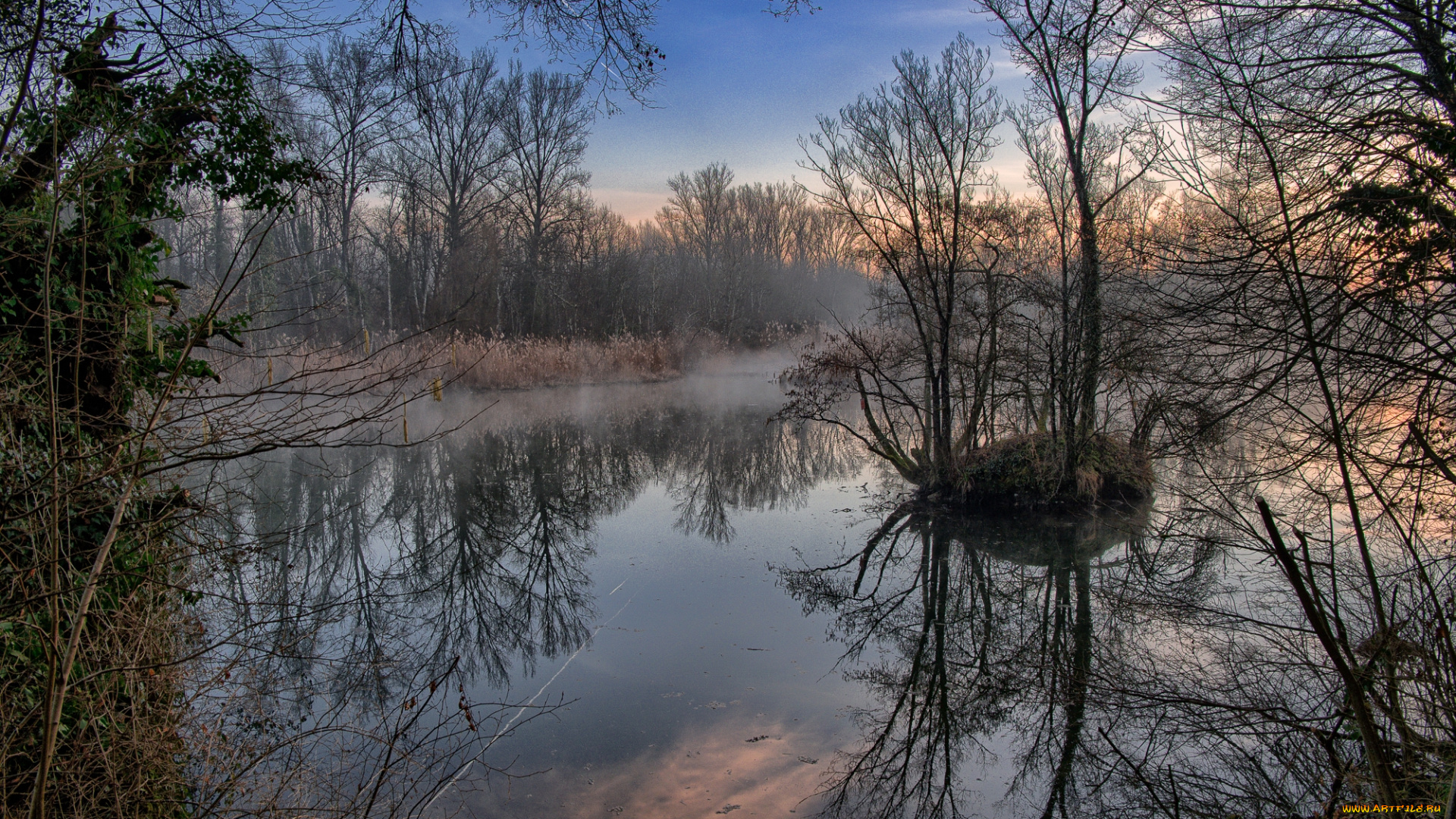 природа, реки, озера, лес, река