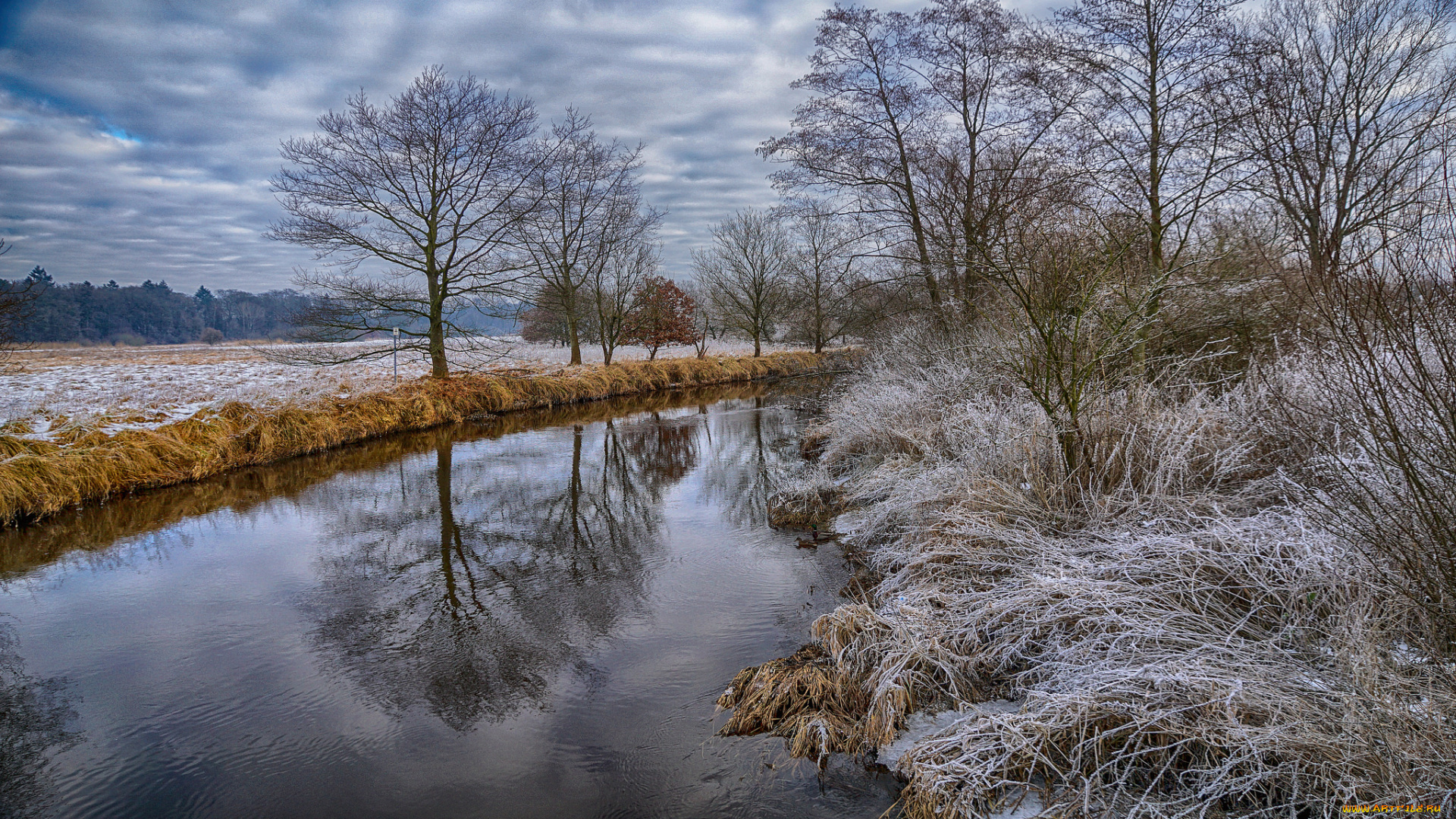 природа, реки, озера, лес, река