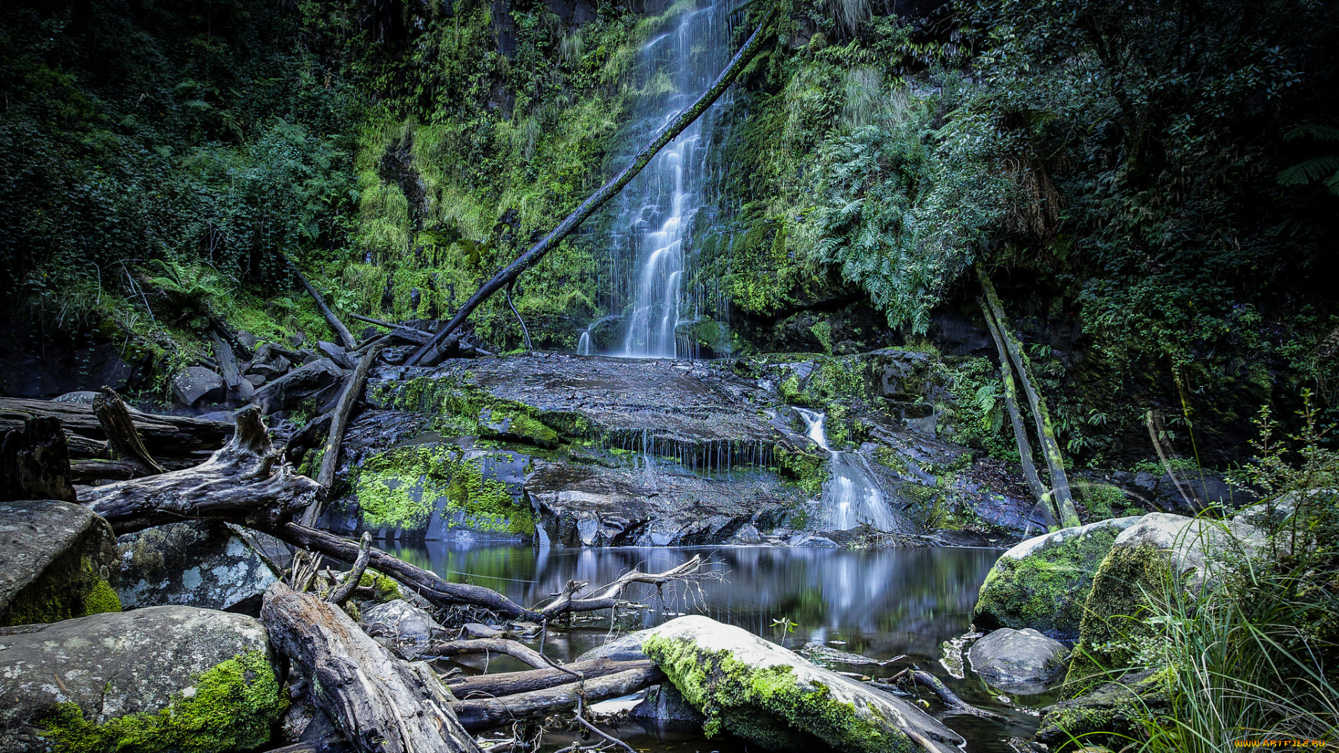 природа, водопады, лес, река, водопад