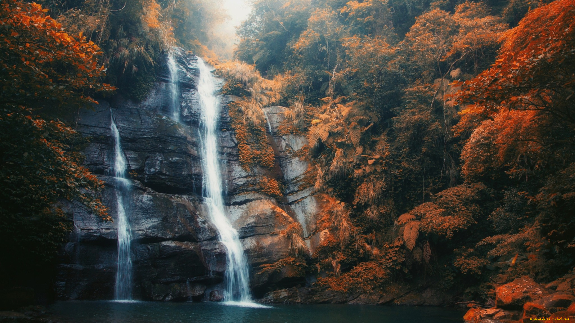 природа, водопады, лес, скала, поток