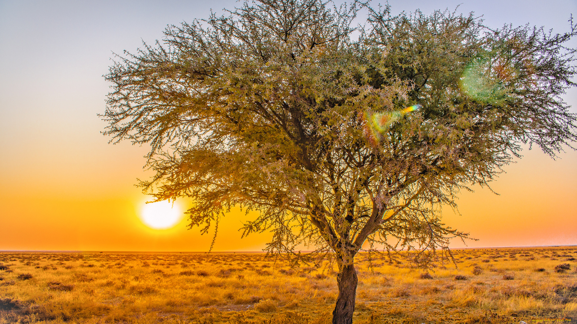 природа, восходы, закаты, рассвет