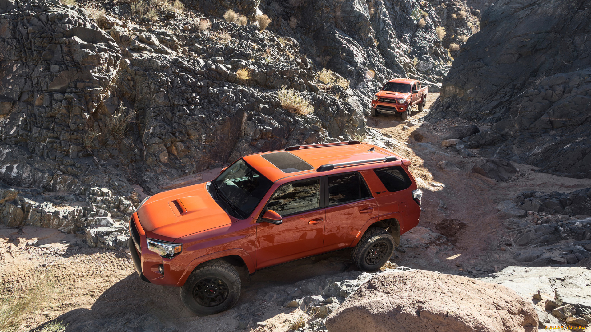 toyota, 4runner, trd, 2015, автомобили, toyota, 2015, trd, 4runner