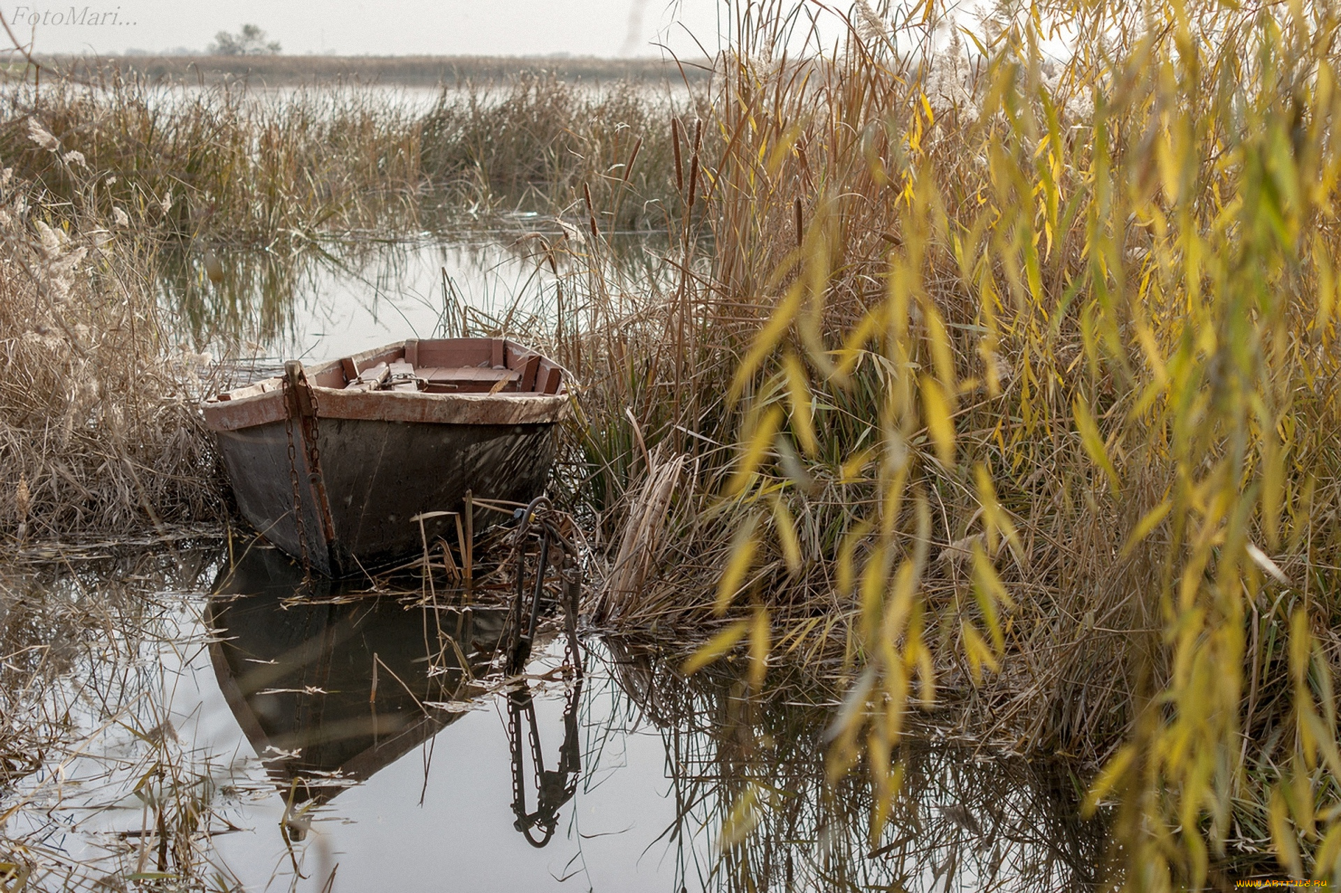 корабли, лодки, , шлюпки, лодка, камыши