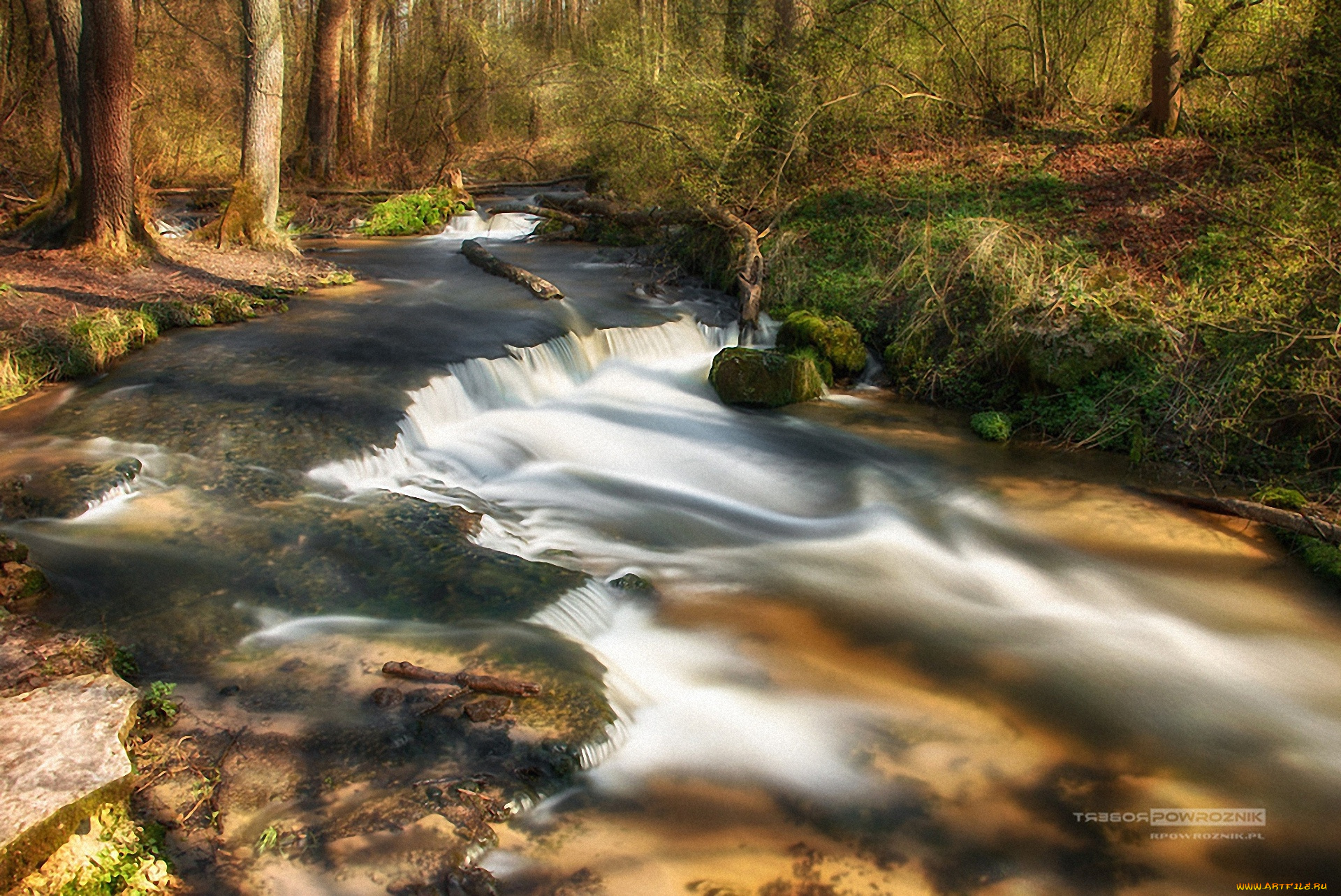 природа, реки, озера, лес, поток