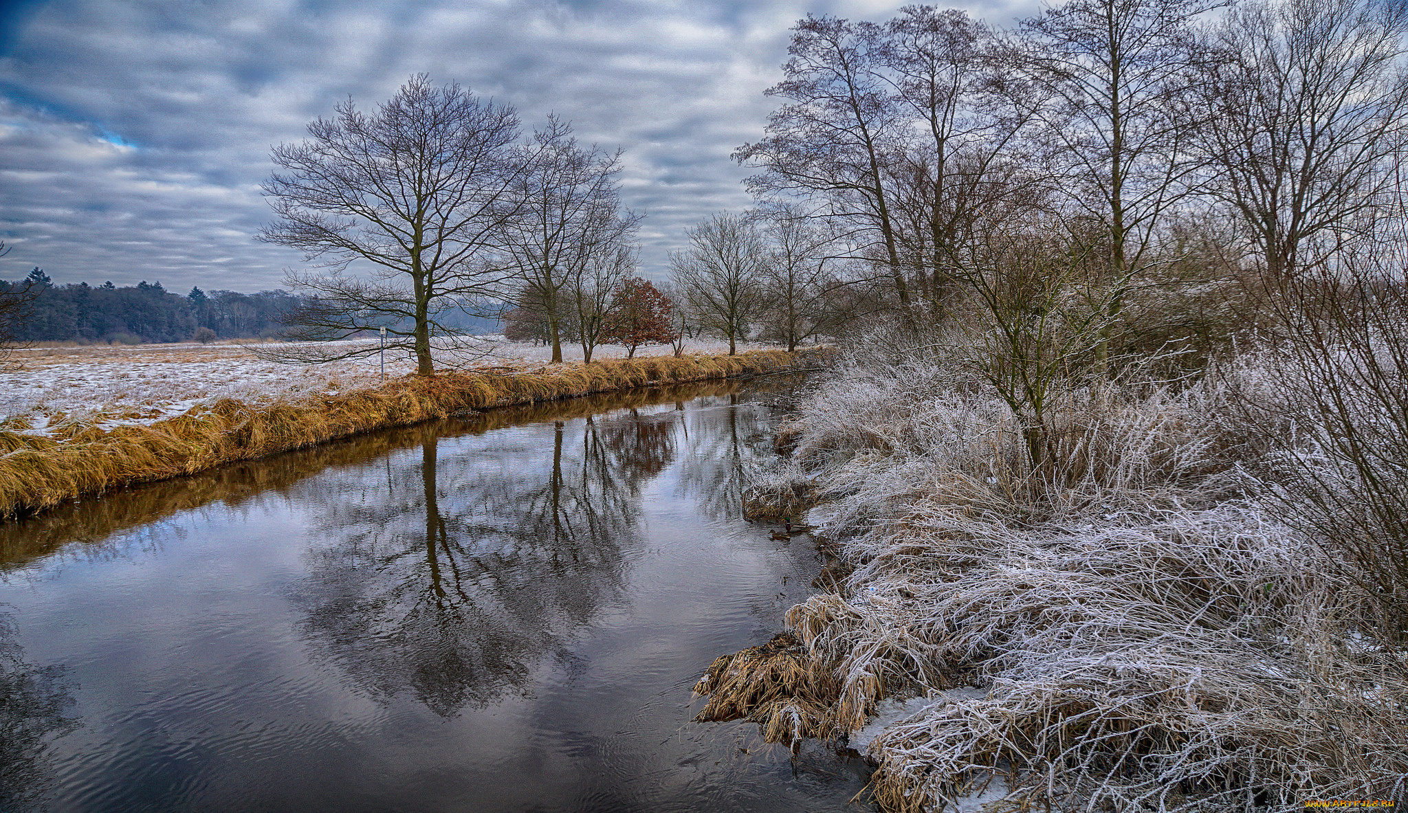 природа, реки, озера, лес, река