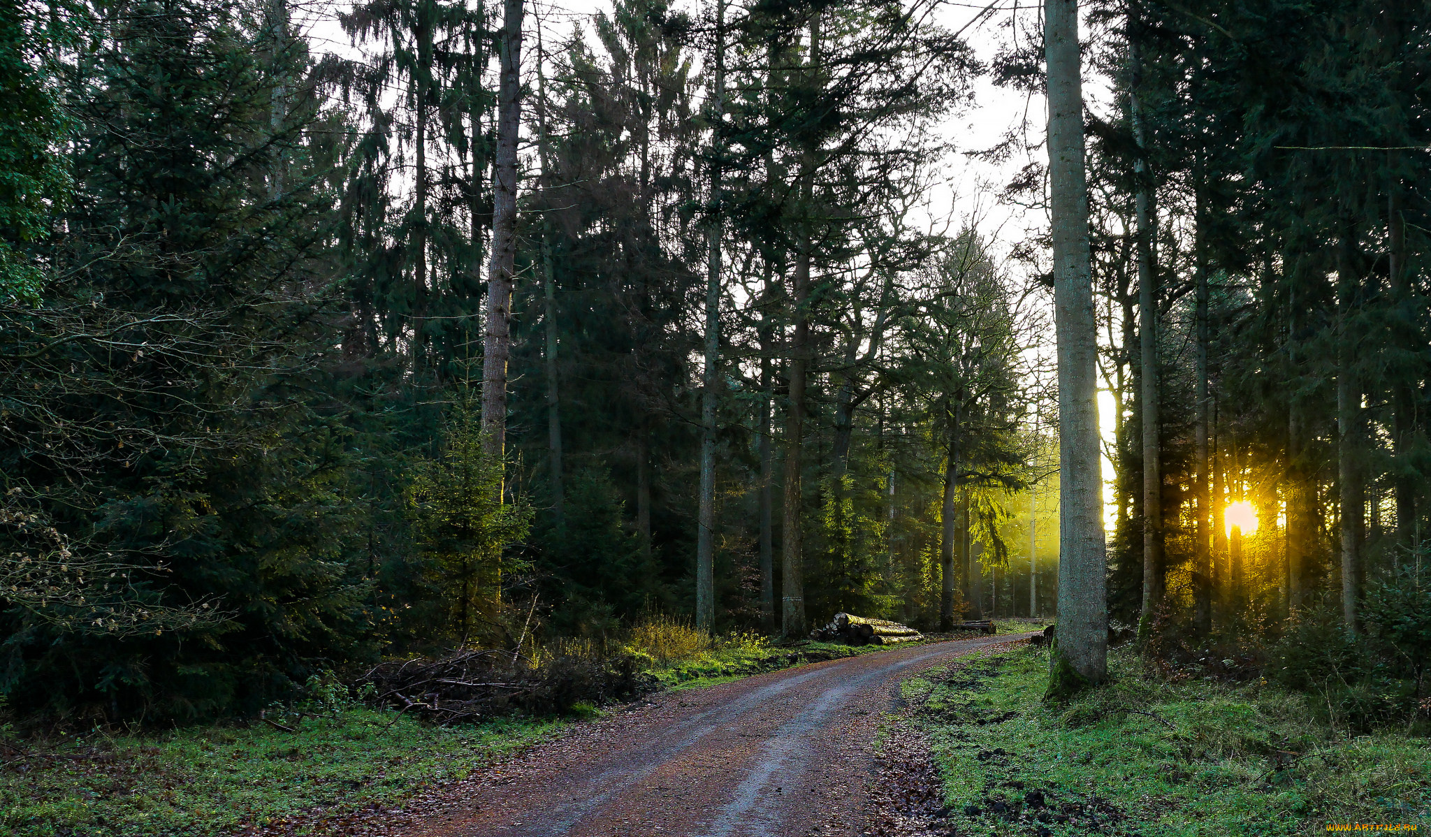 природа, дороги, тракт