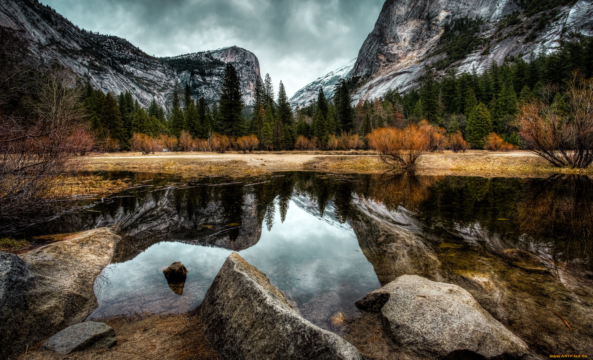 природа, реки, озера, лес, река