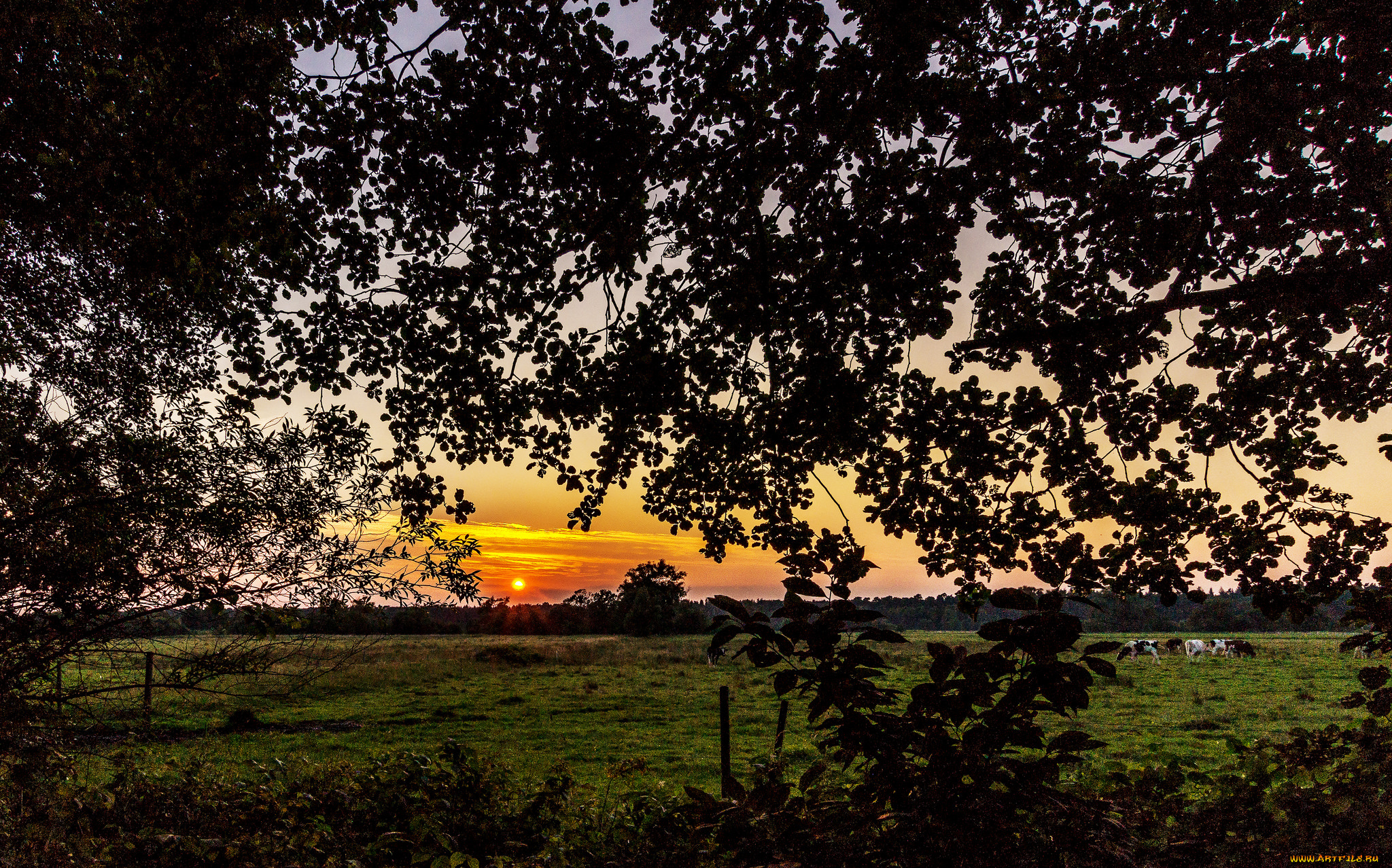 природа, восходы, закаты, рассвет