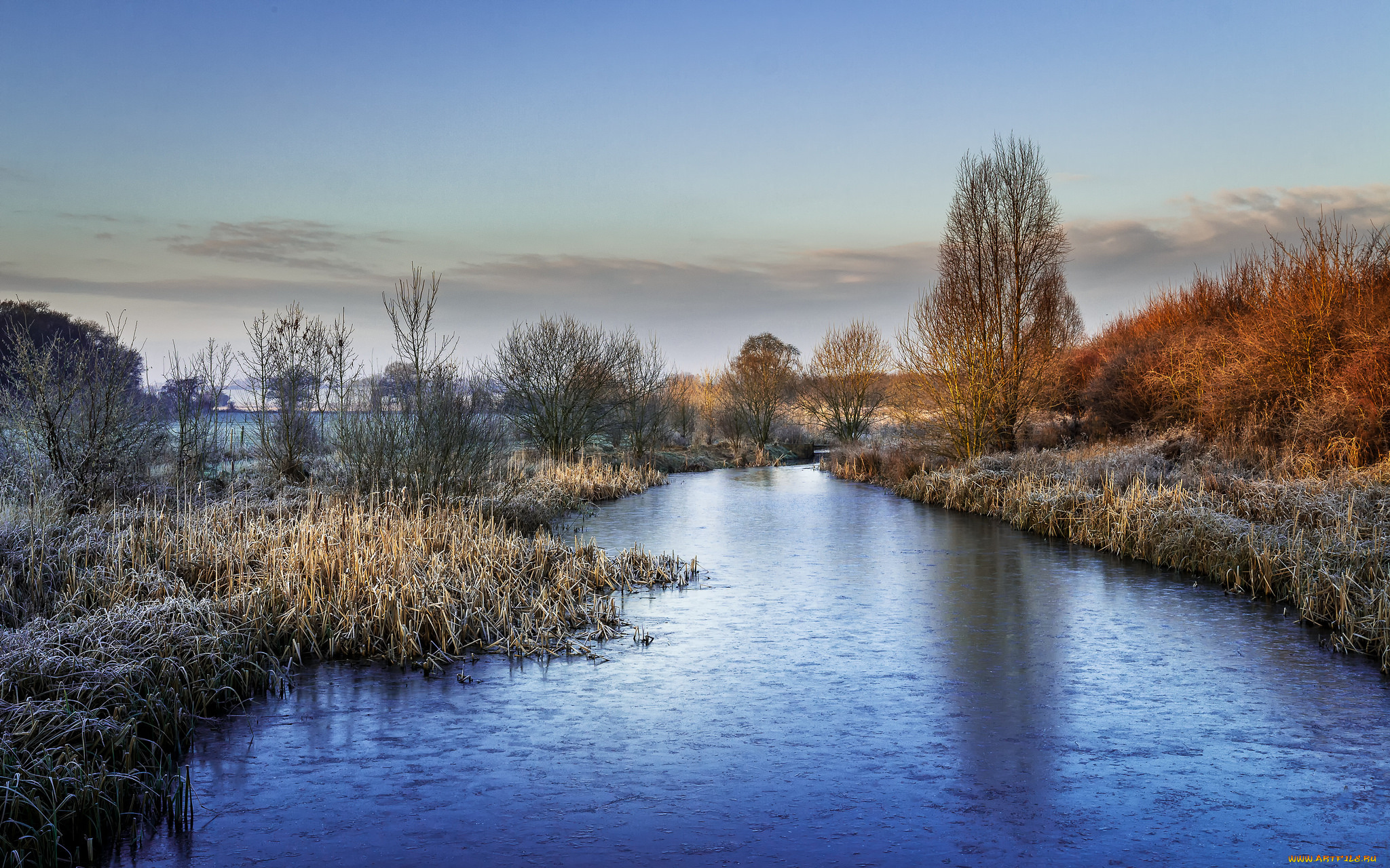 природа, реки, озера, лес, река