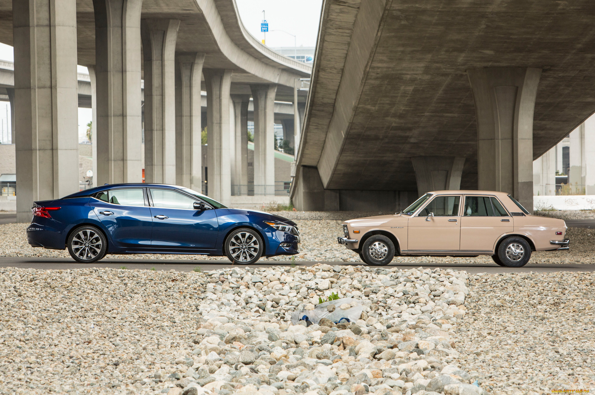 автомобили, nissan, datsun