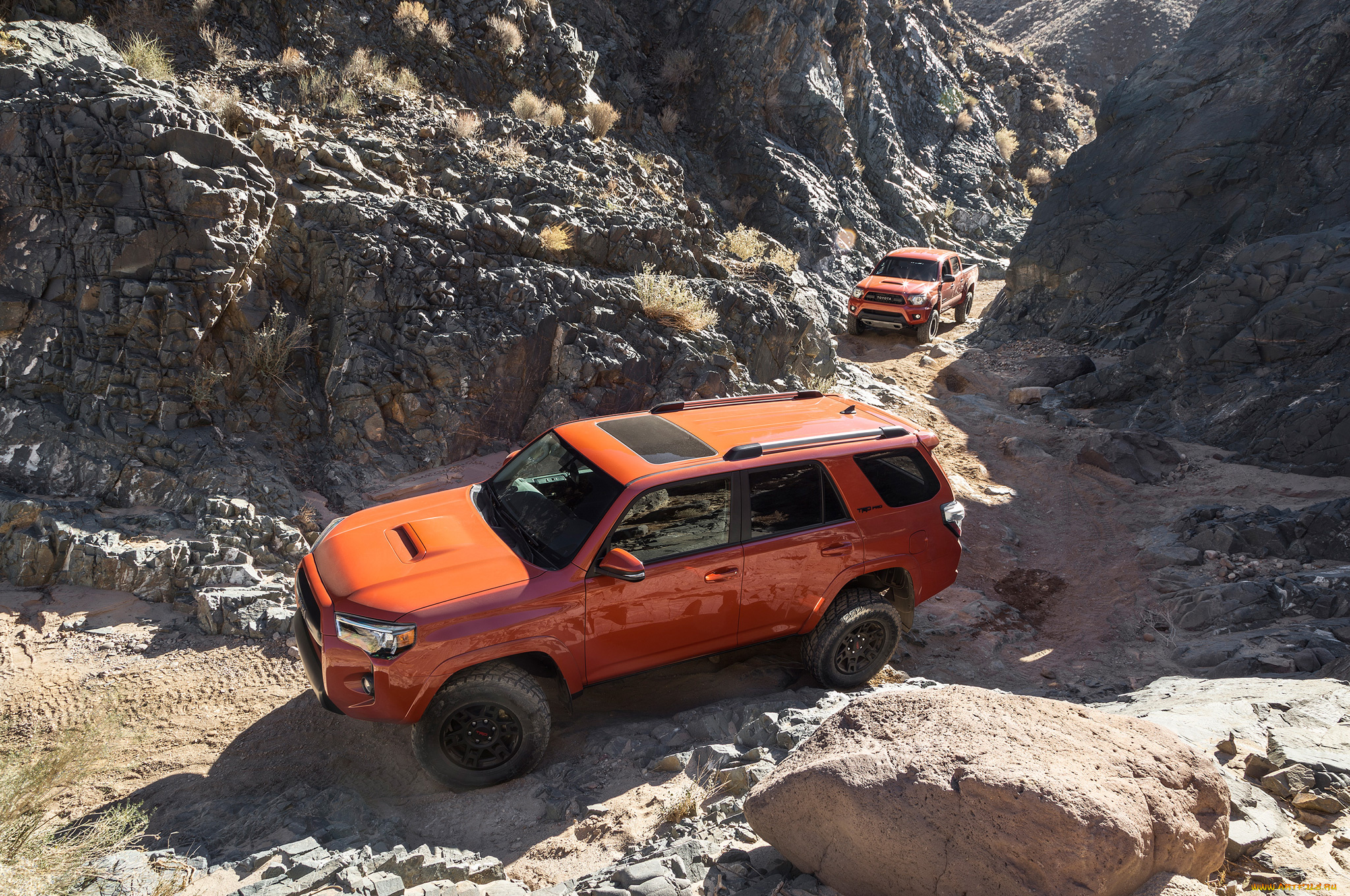 toyota, 4runner, trd, 2015, автомобили, toyota, 2015, trd, 4runner