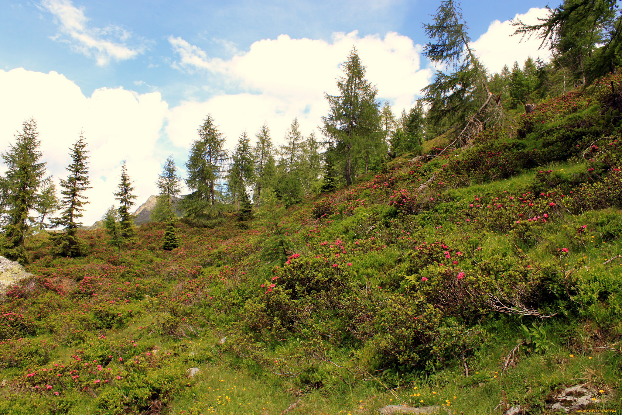 природа, пейзажи, простор