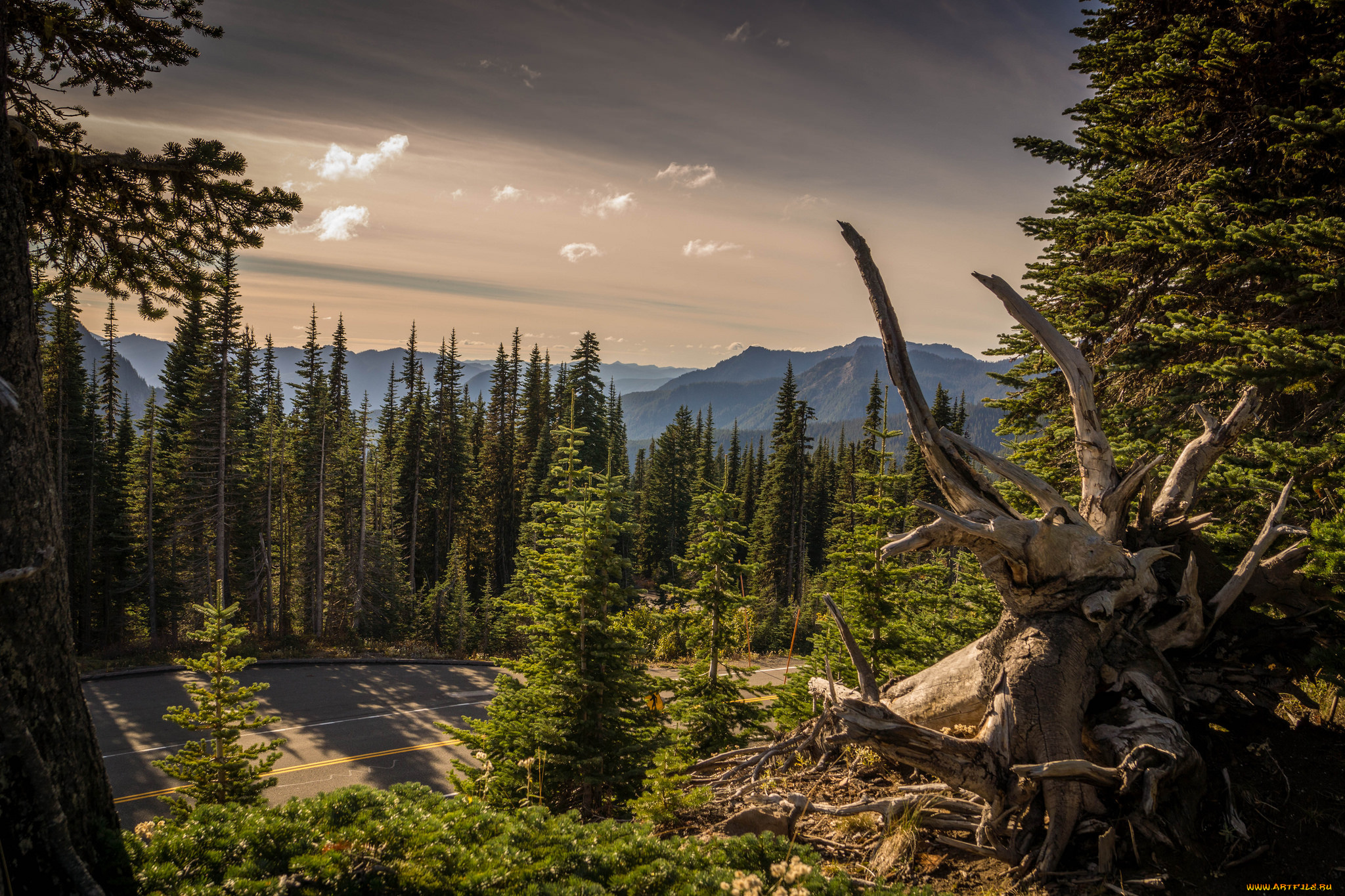 природа, пейзажи, тракт