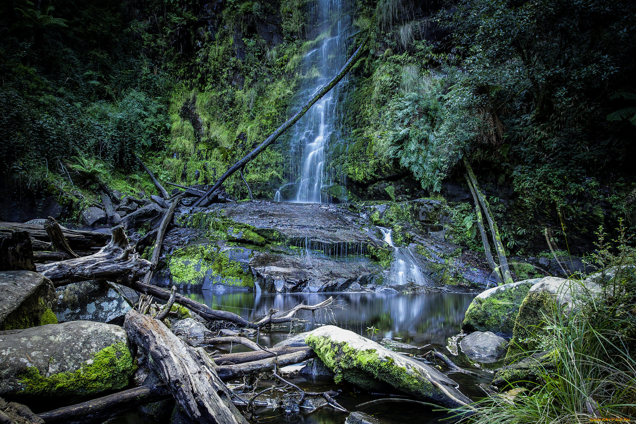 природа, водопады, лес, река, водопад