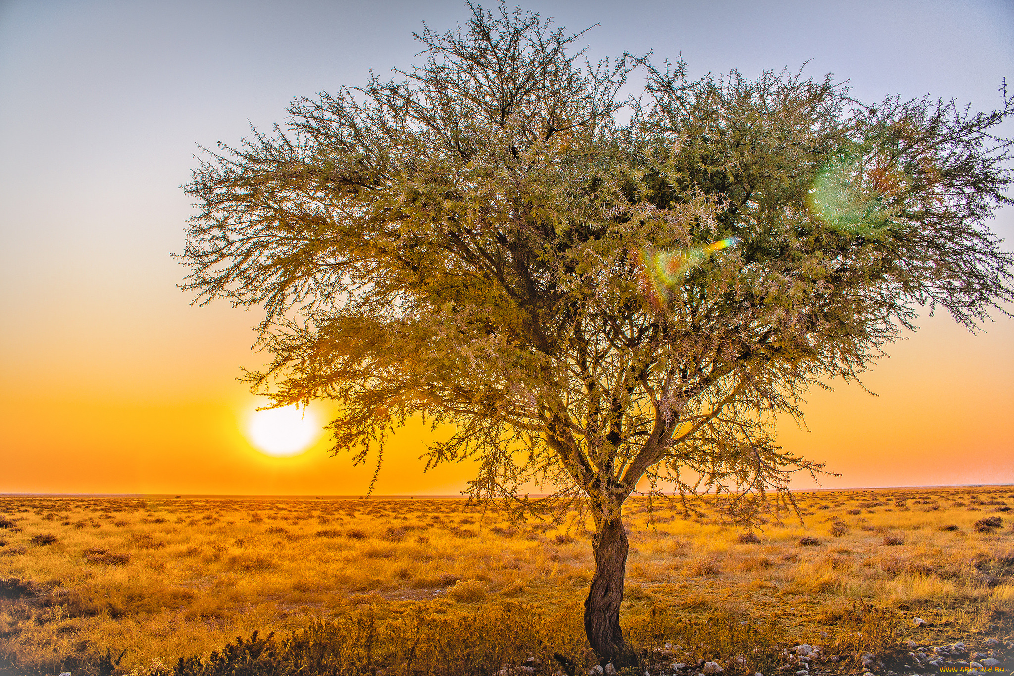 природа, восходы, закаты, рассвет