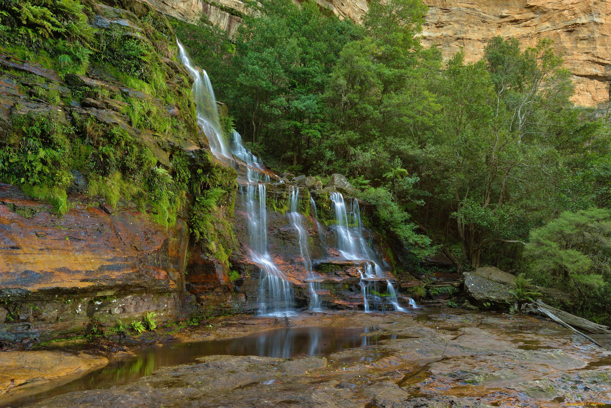 природа, водопады, лес, река, водопад