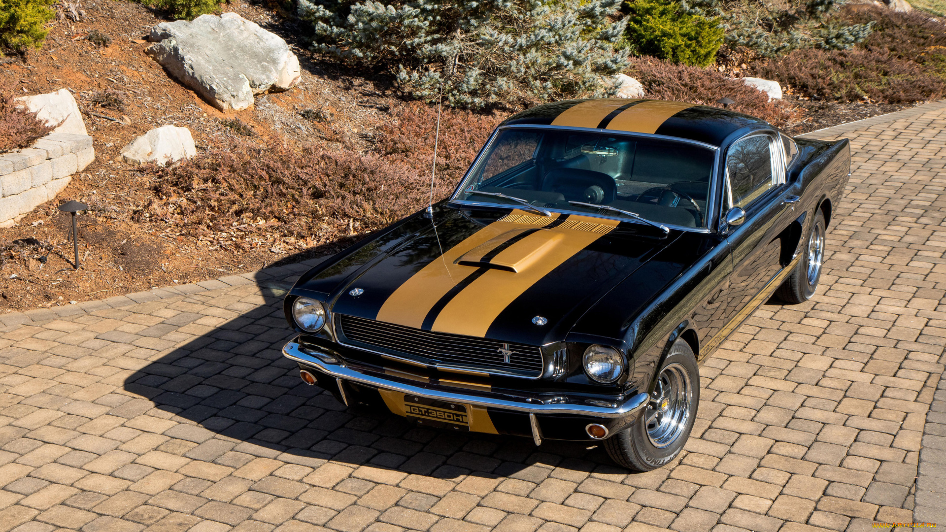 автомобили, mustang