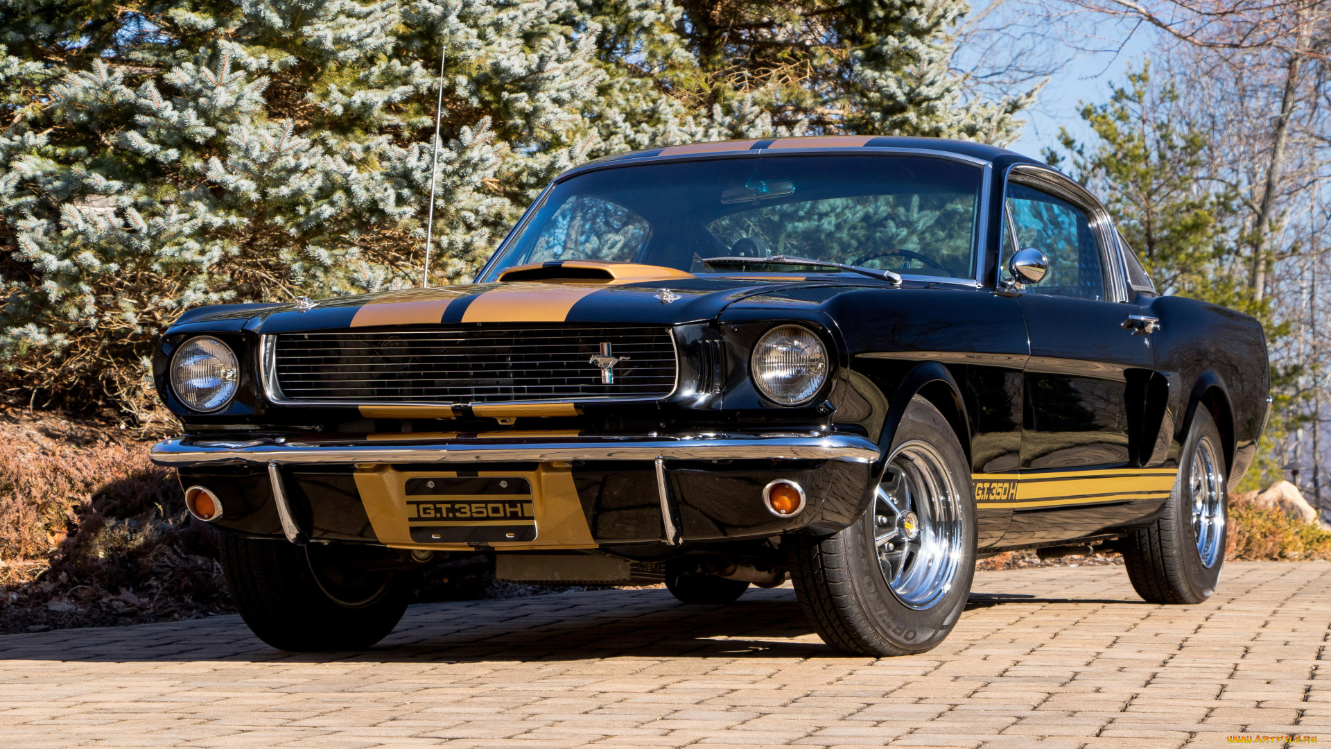 автомобили, mustang