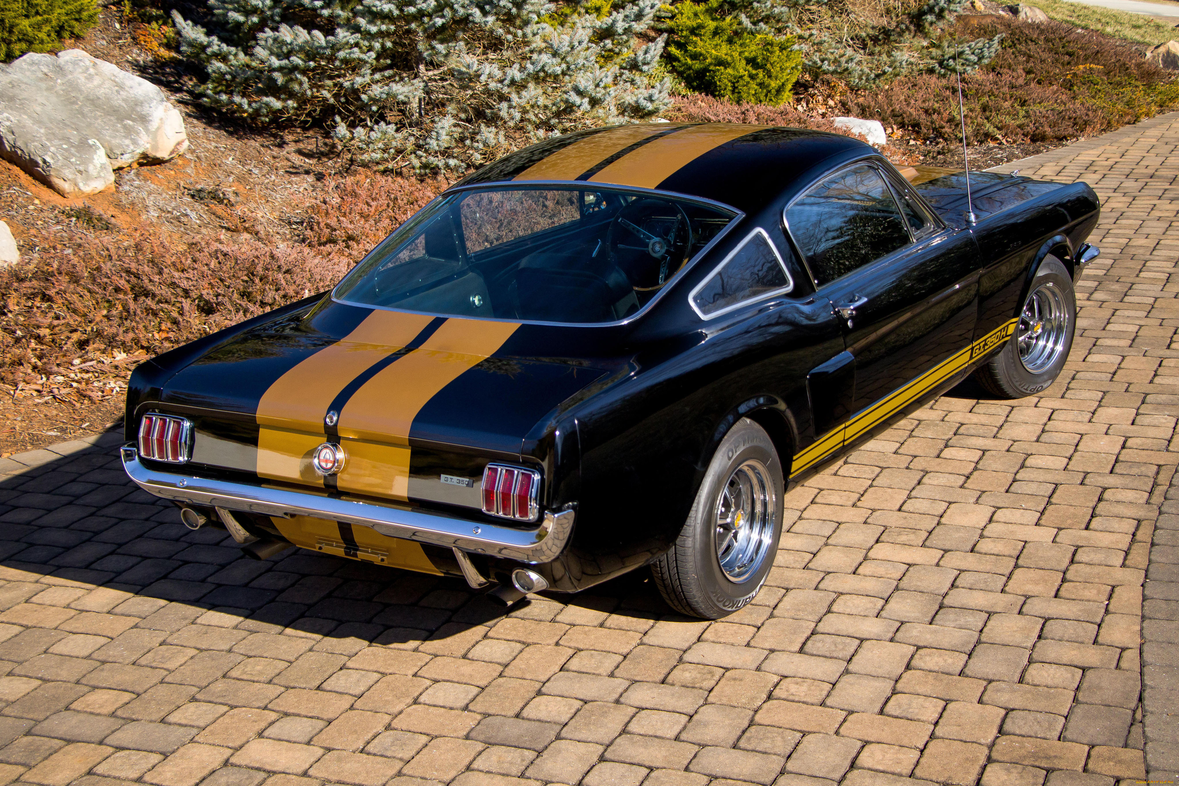 автомобили, mustang