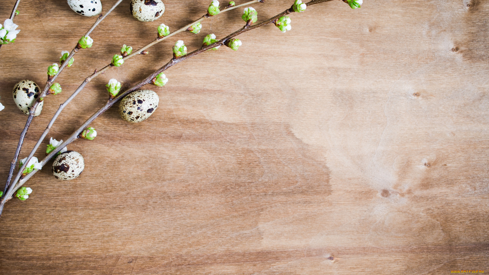 праздничные, пасха, праздник, яйца, ветки