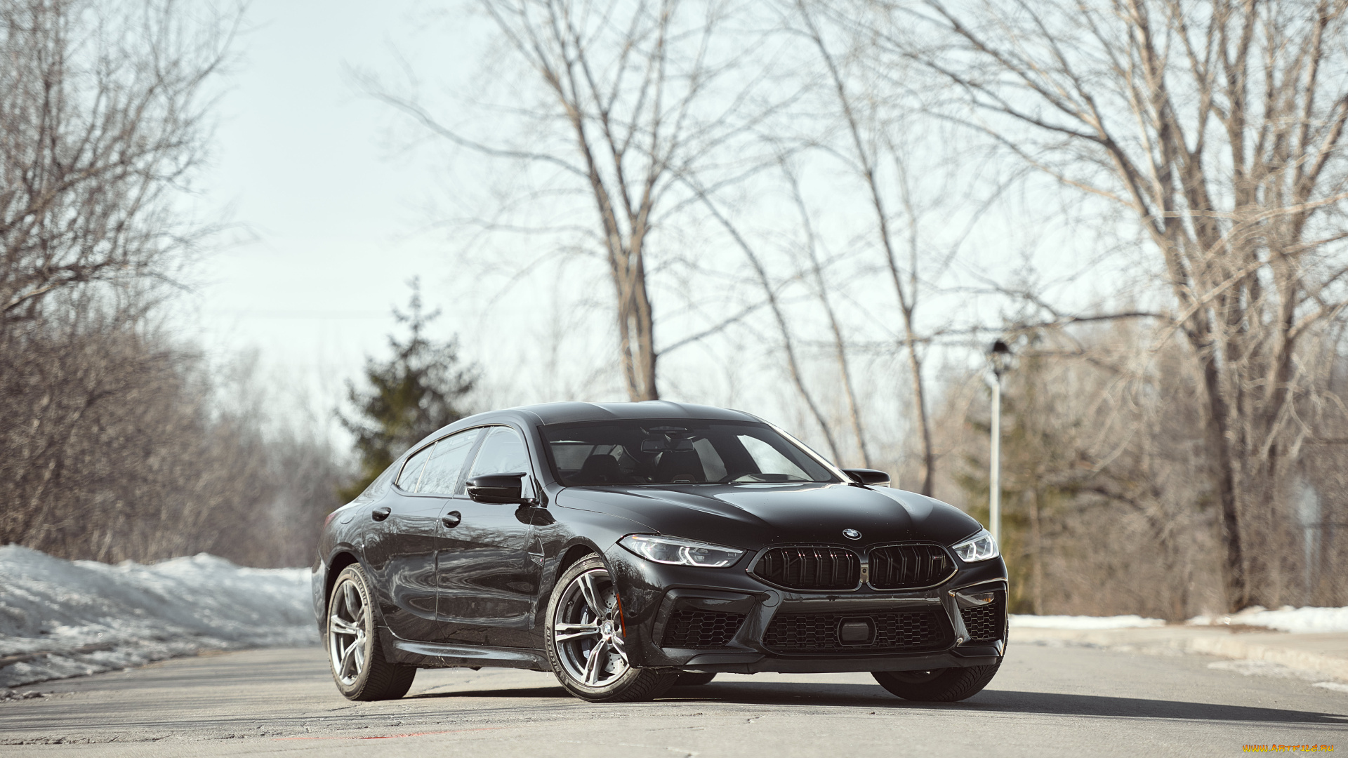 автомобили, bmw, m8