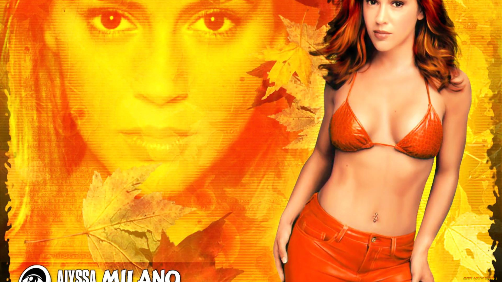 девушки, alyssa, milano, актриса, рыжая, купальник, брюки, лицо