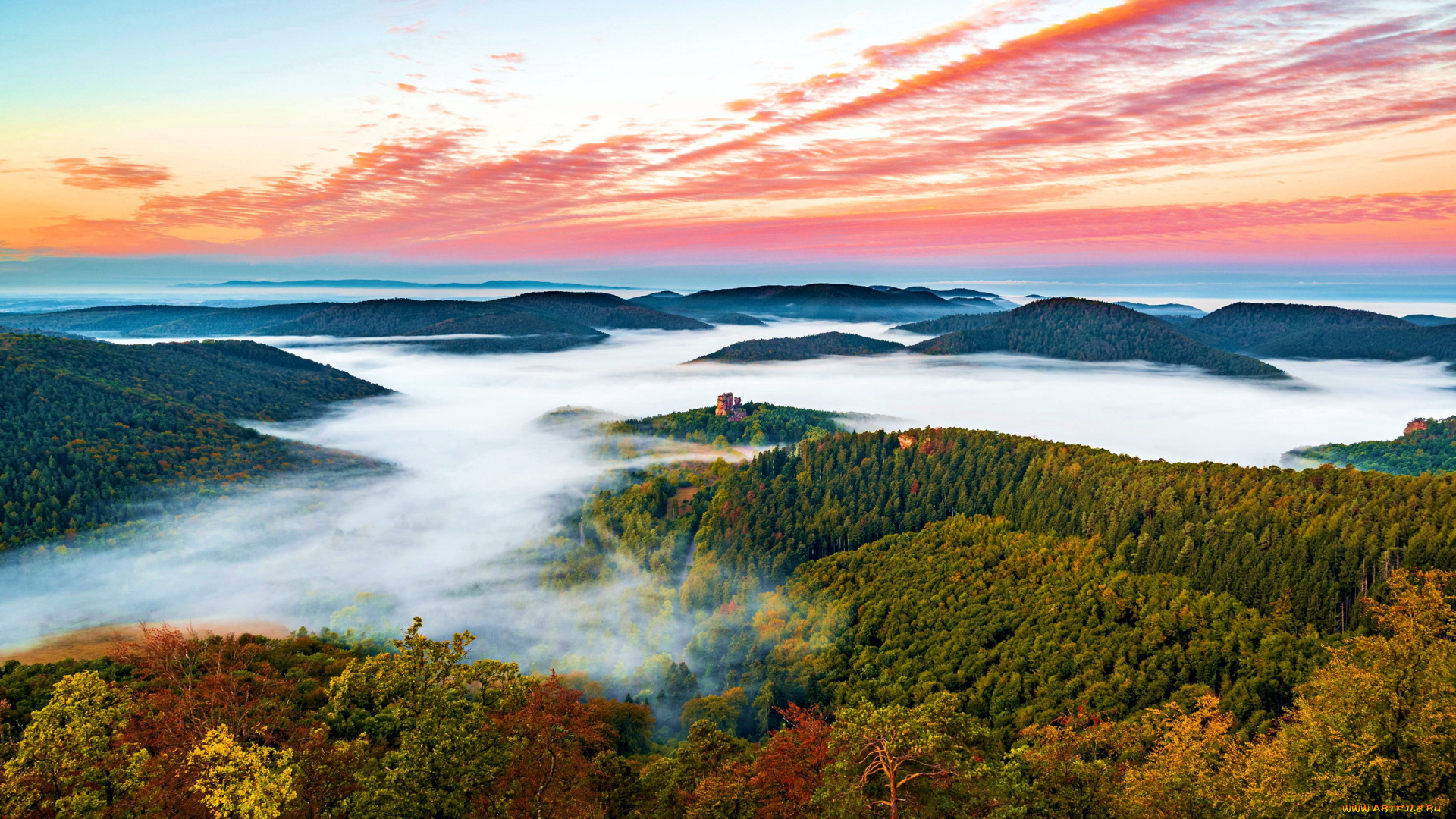palatinate, forest, germany, природа, лес, palatinate, forest