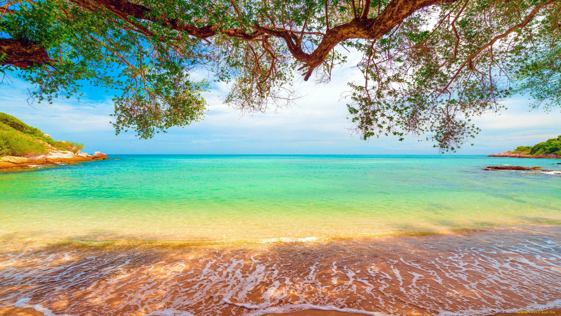 природа, тропики, море, пляж