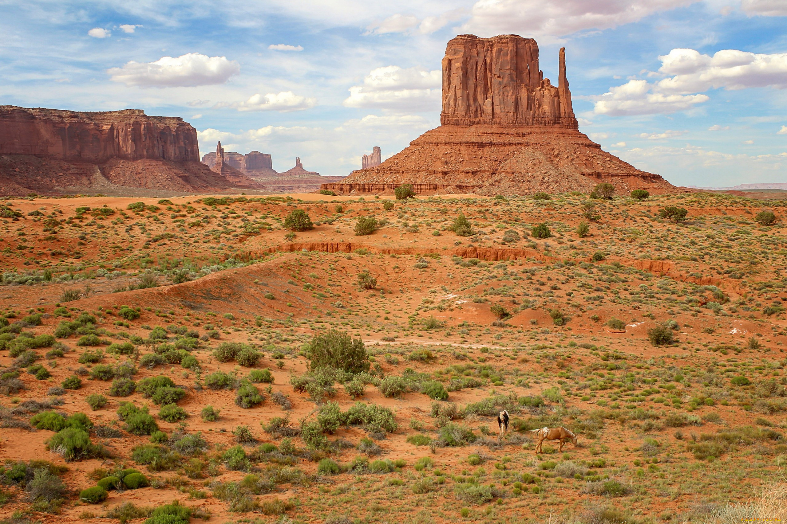 monument, valley, arizona, природа, горы, monument, valley