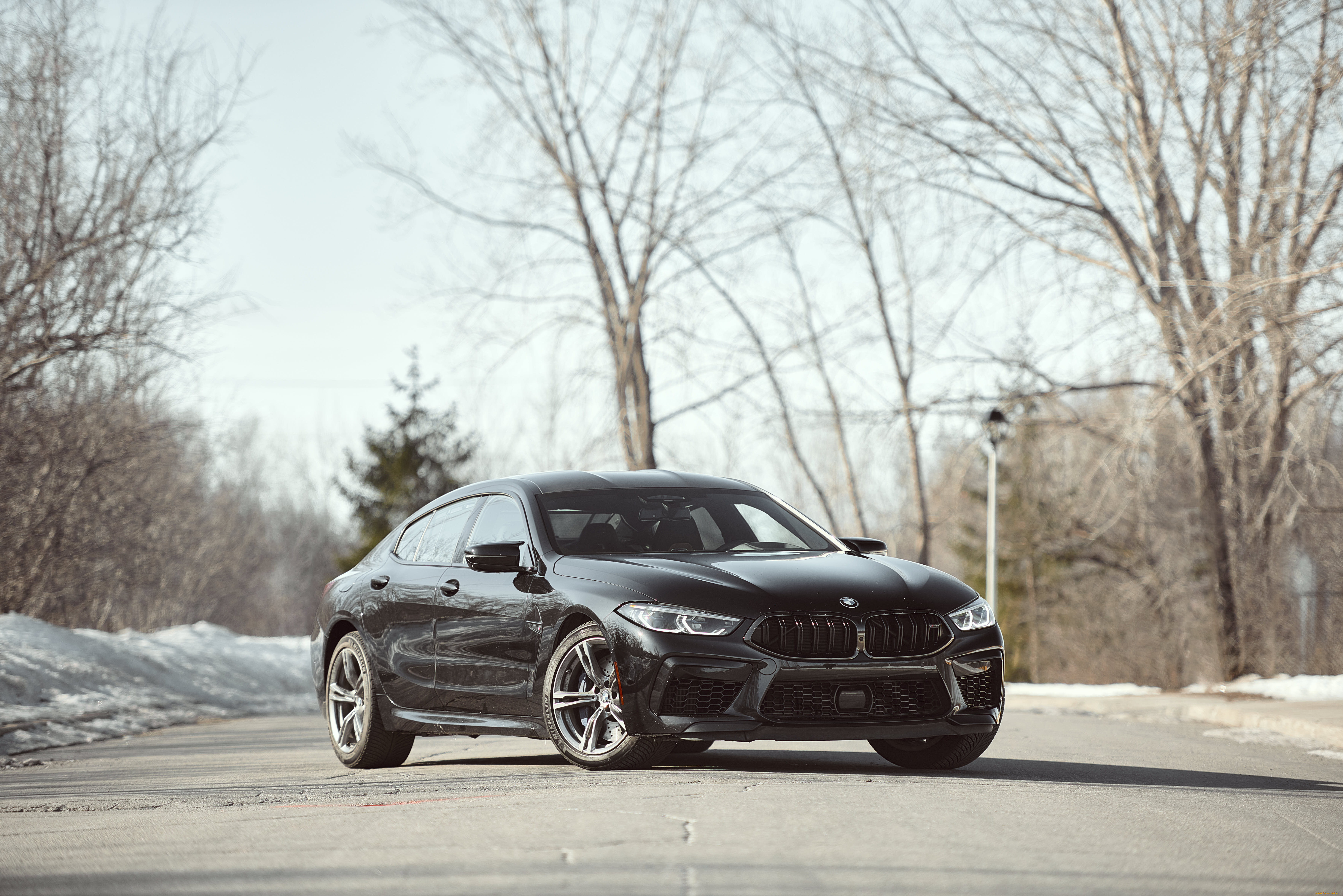 автомобили, bmw, m8