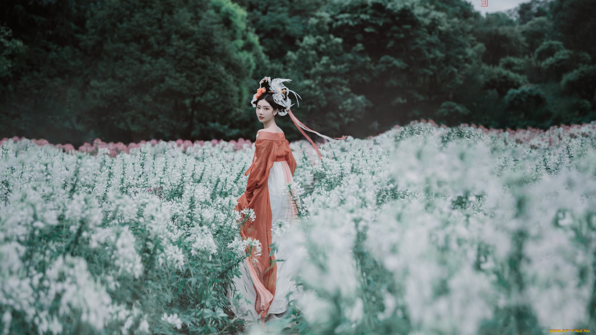 девушки, -, азиатки, кимоно, поле, роща