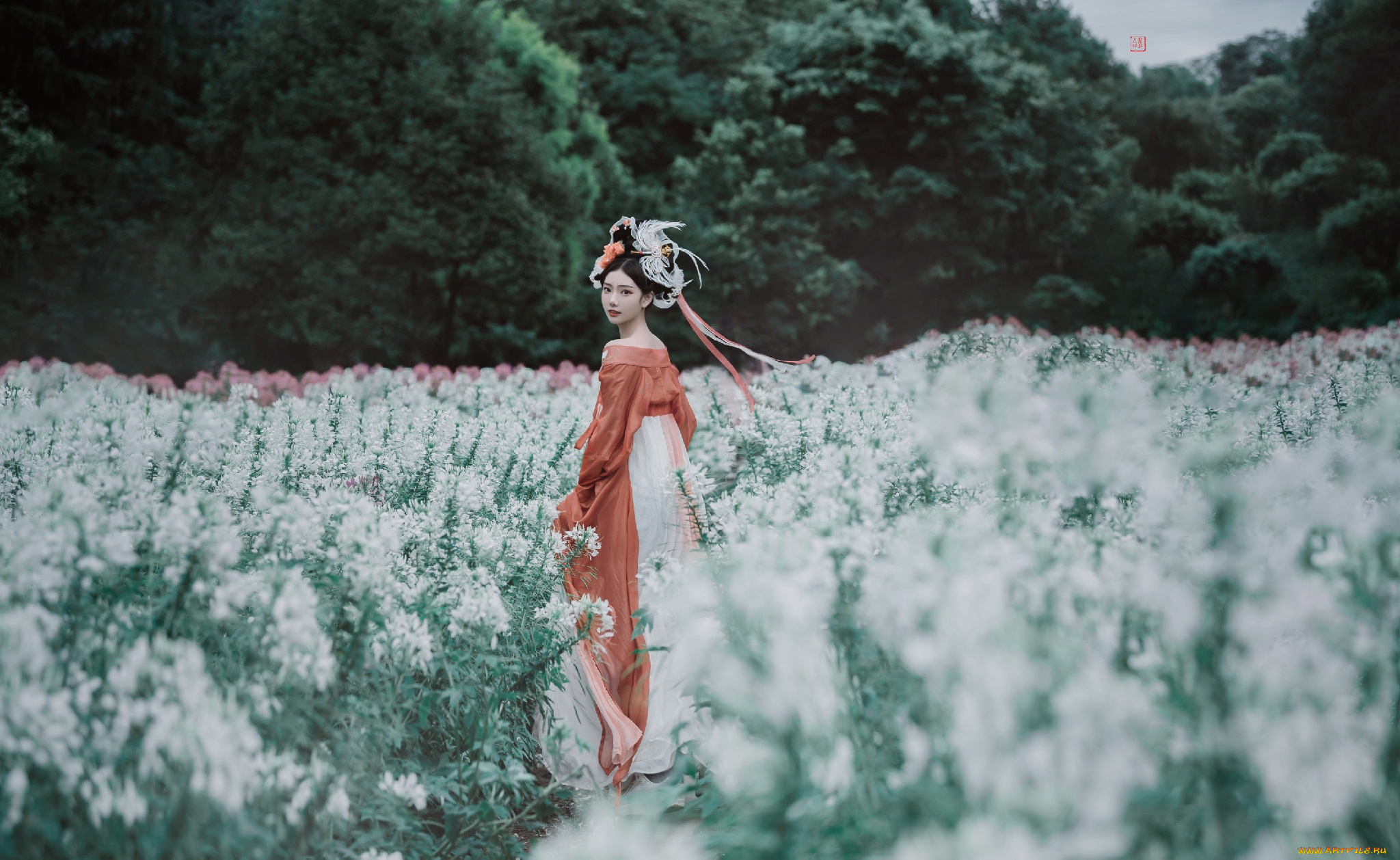 девушки, -, азиатки, кимоно, поле, роща