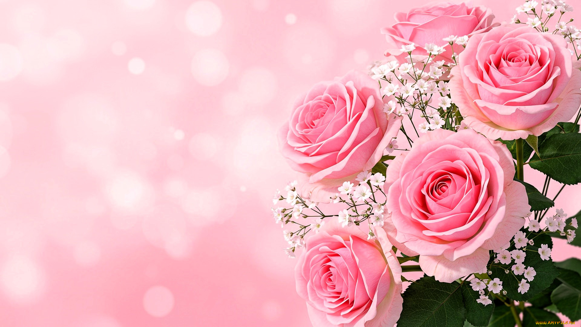 цветы, розы, букет