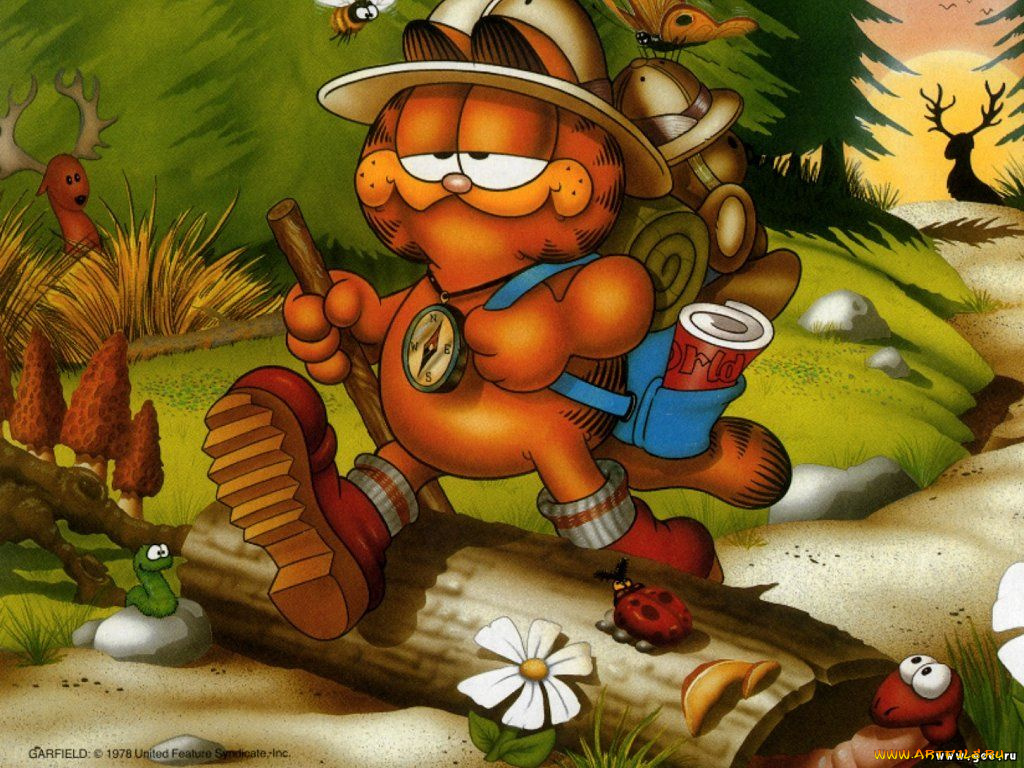 мультфильмы, garfield