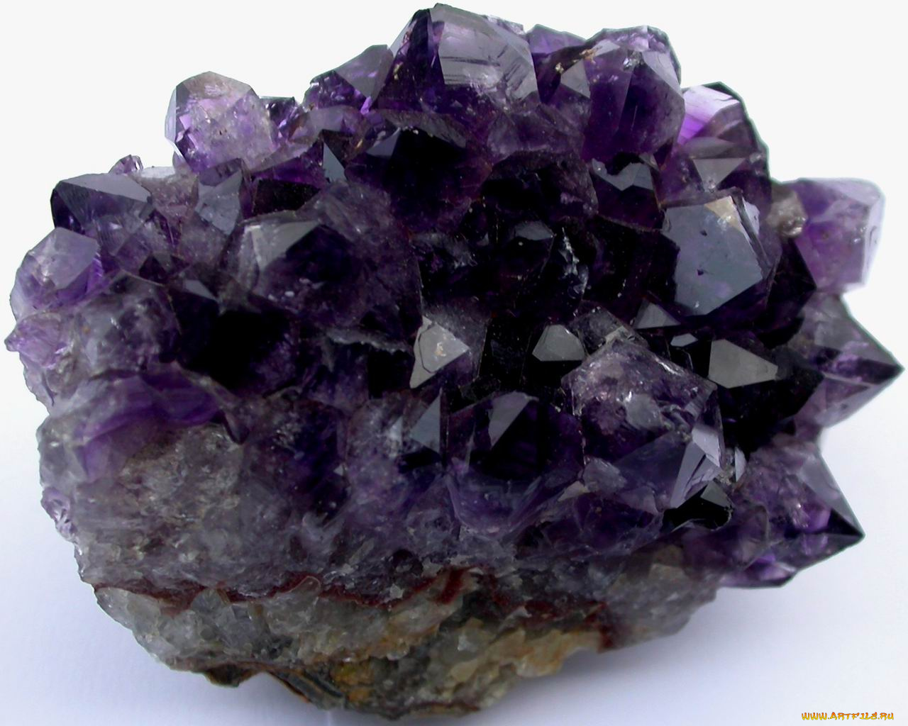 разное, ракушки, кораллы, декоративные, spa, камни