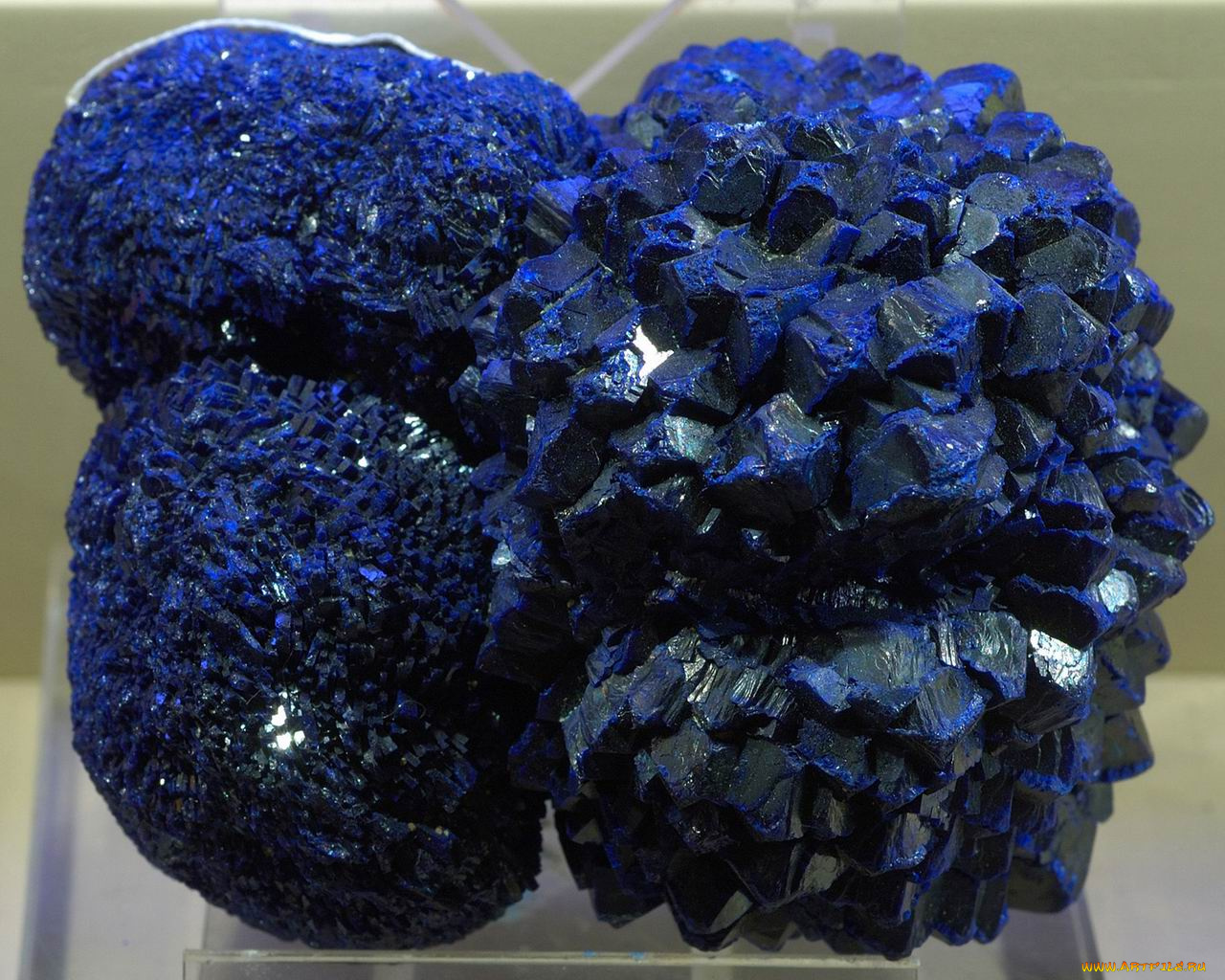 разное, ракушки, кораллы, декоративные, spa, камни