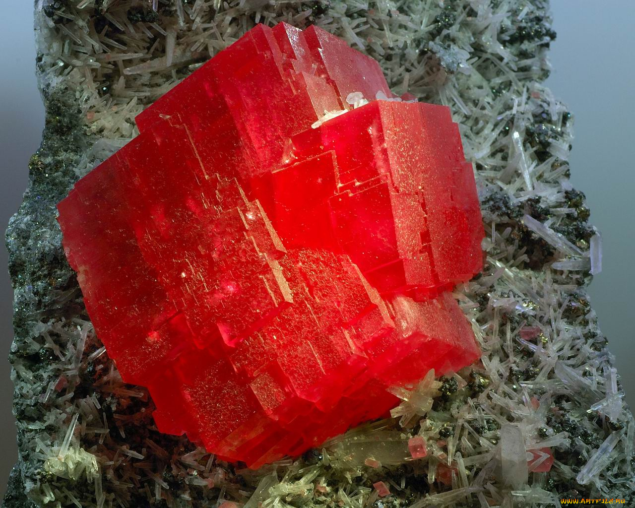 разное, ракушки, кораллы, декоративные, spa, камни