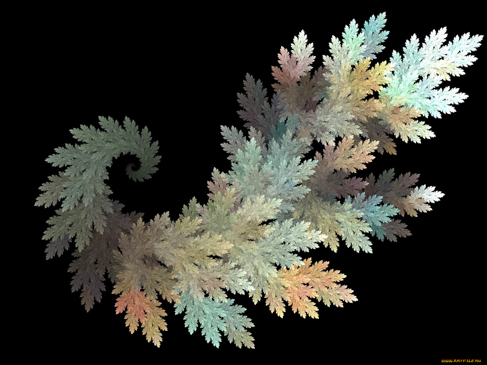 3д, графика, fractal, фракталы, фрактал, линии, цвета