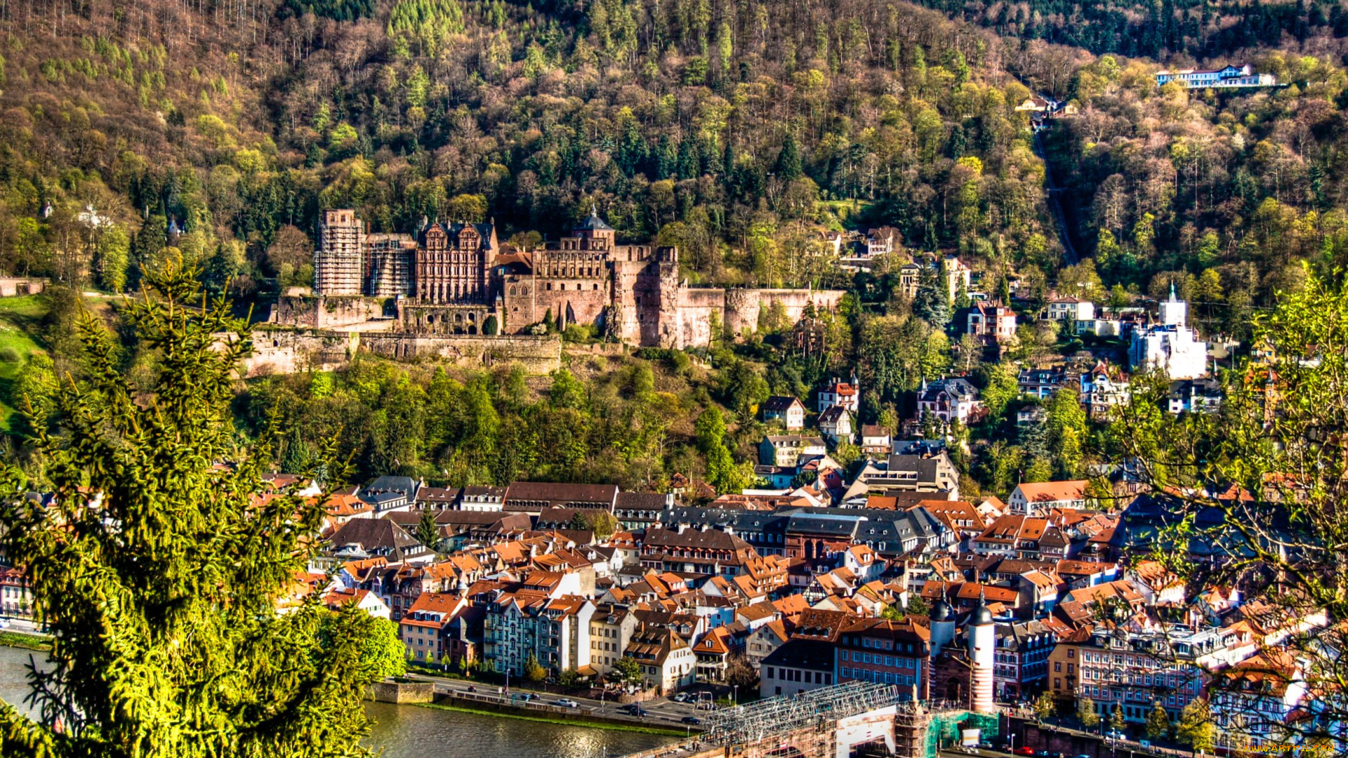 гейдельберг, германия, города, мост, дома, замок, деревья, река