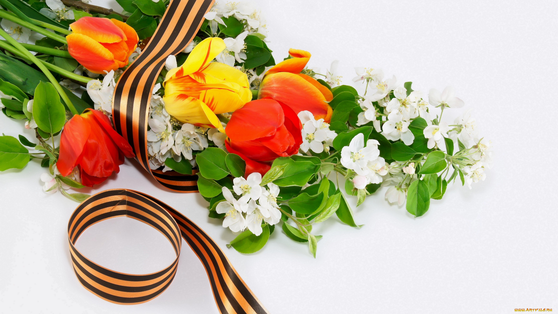праздничные, день, победы, цветы, георгиевская, ленточка, тюльпаны