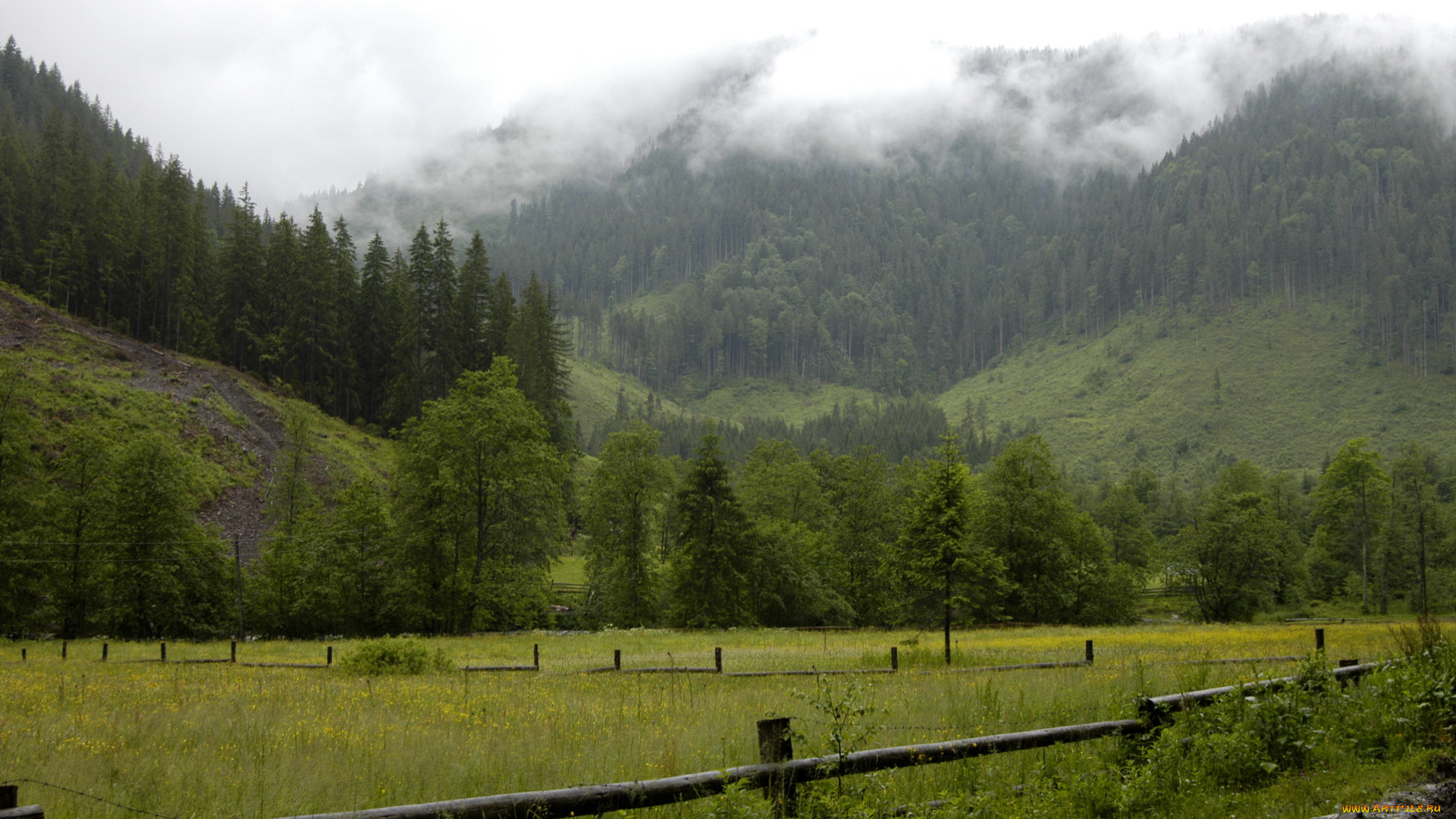 природа, горы, карпаты, украина