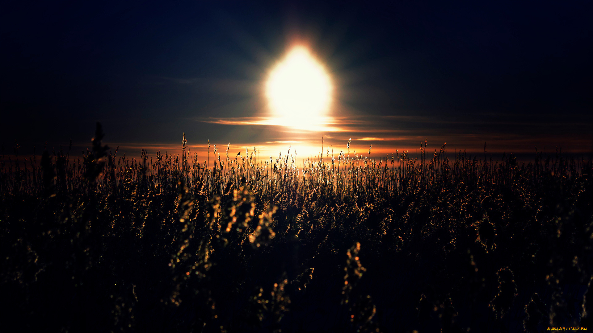 природа, восходы, закаты, трава, солнце, свет