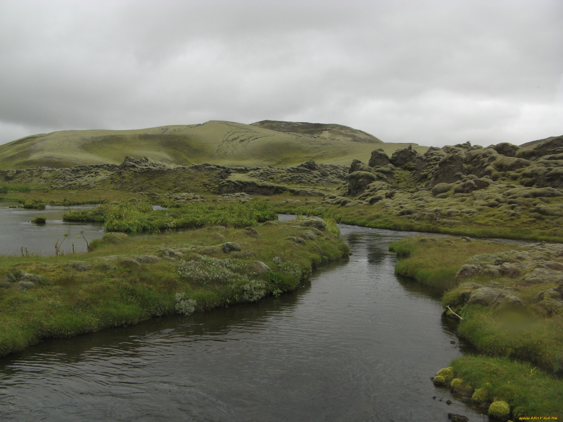 природа, реки, озера, холм, вода, трава