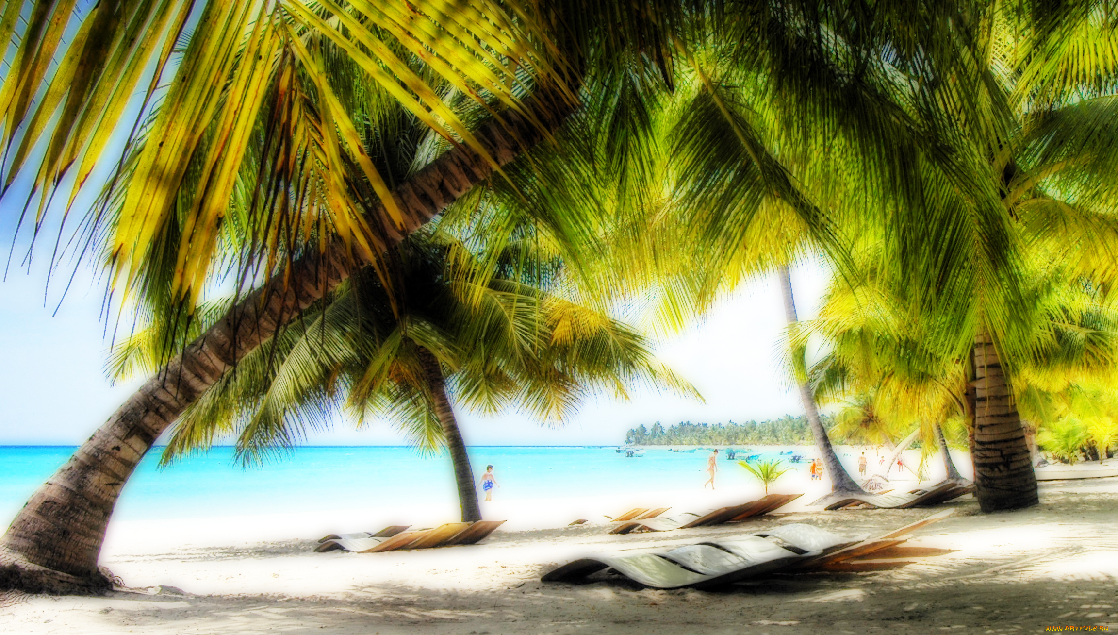 природа, тропики, пляж, океан, море, берег, пальмы