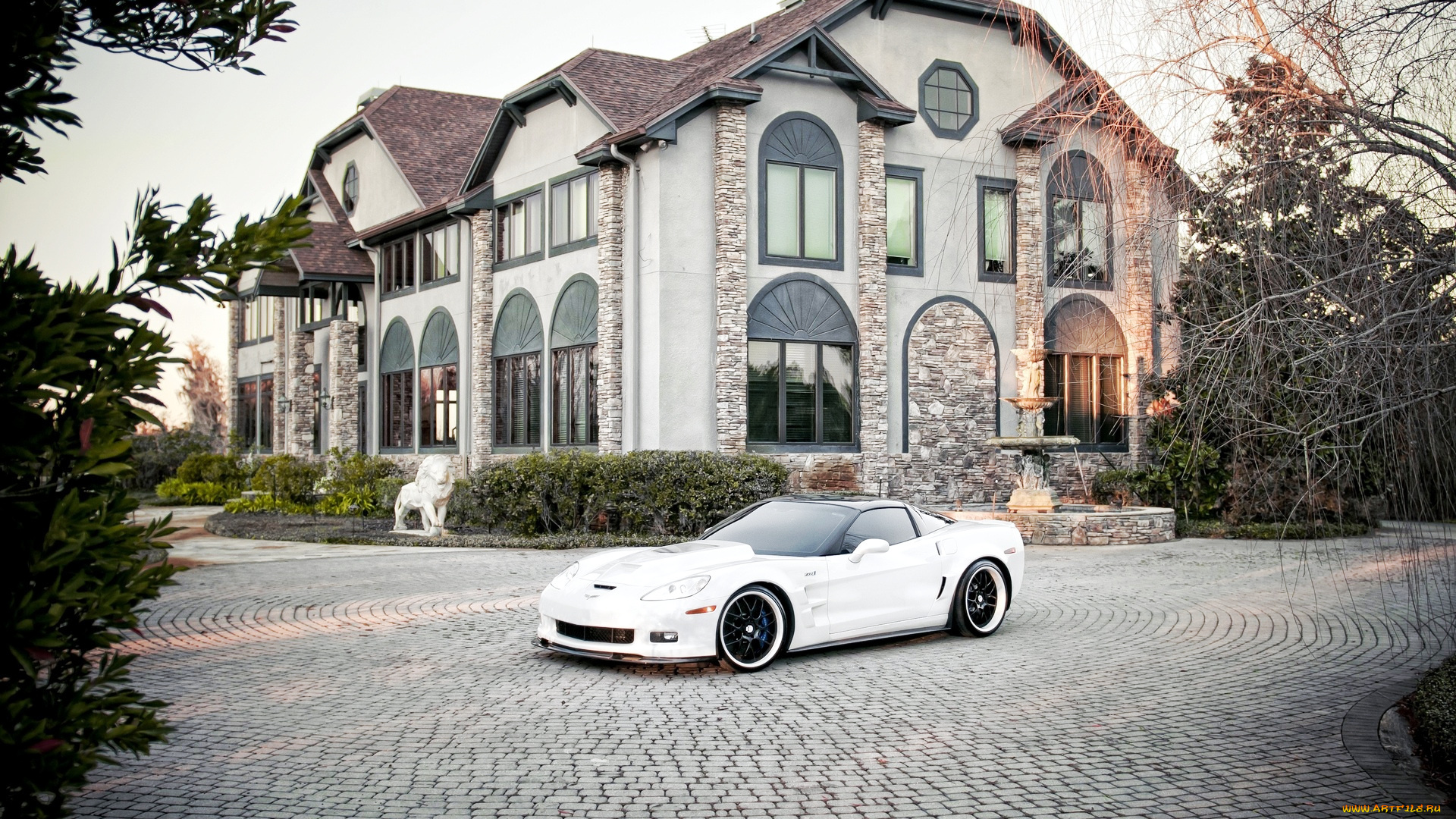 corvette, автомобили, сша, gm, chevrolet, division