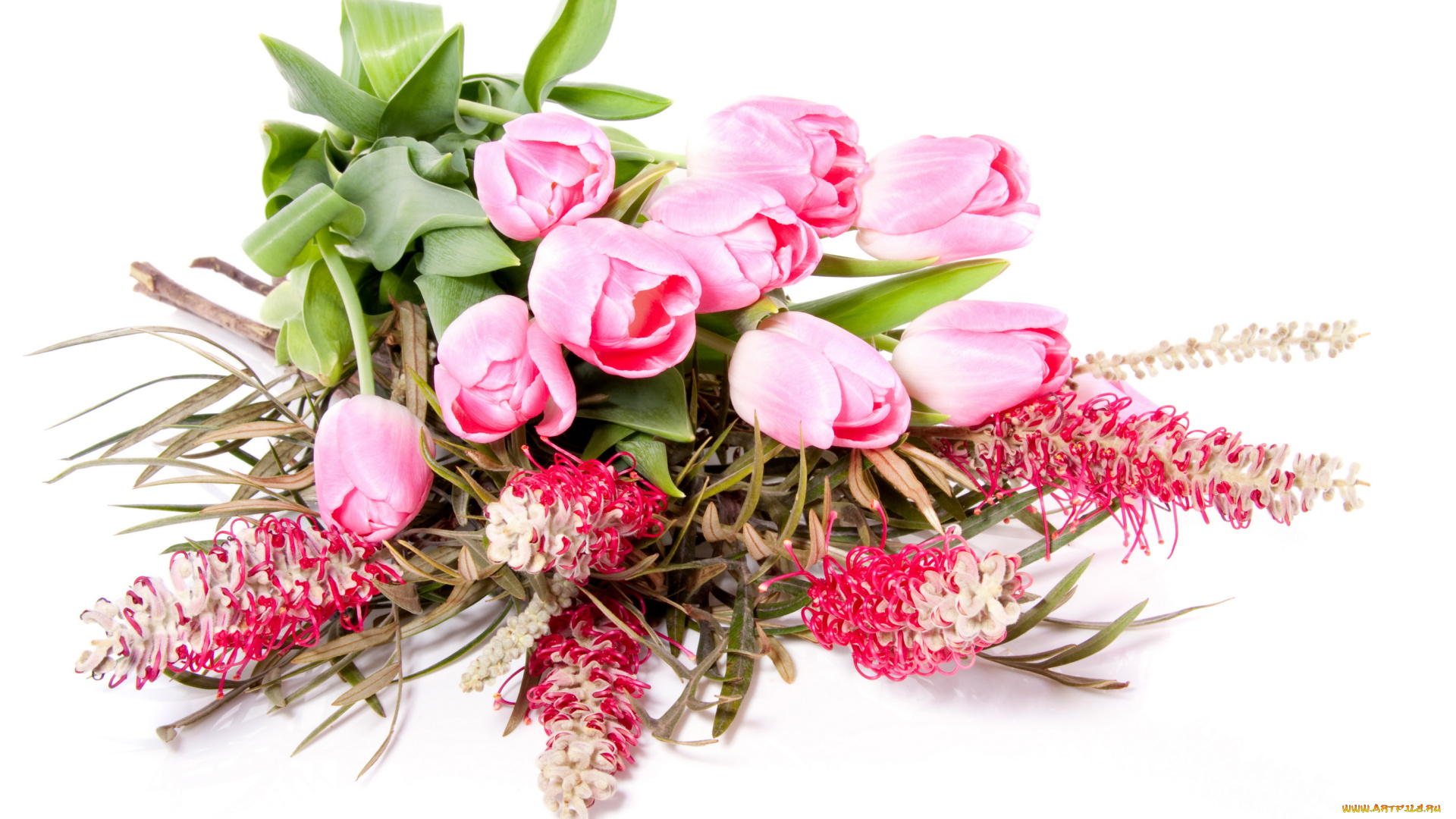 цветы, букеты, композиции, тюльпаны