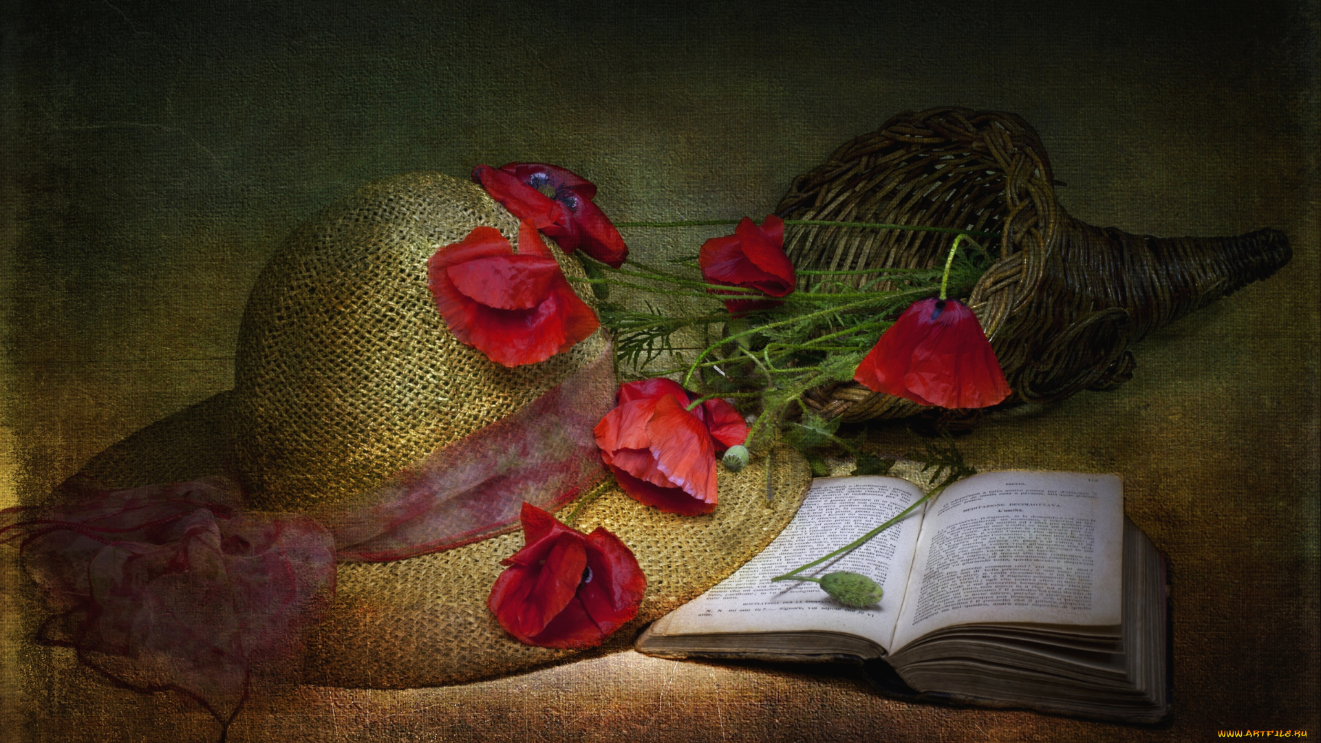 цветы, маки, шляпа, книга