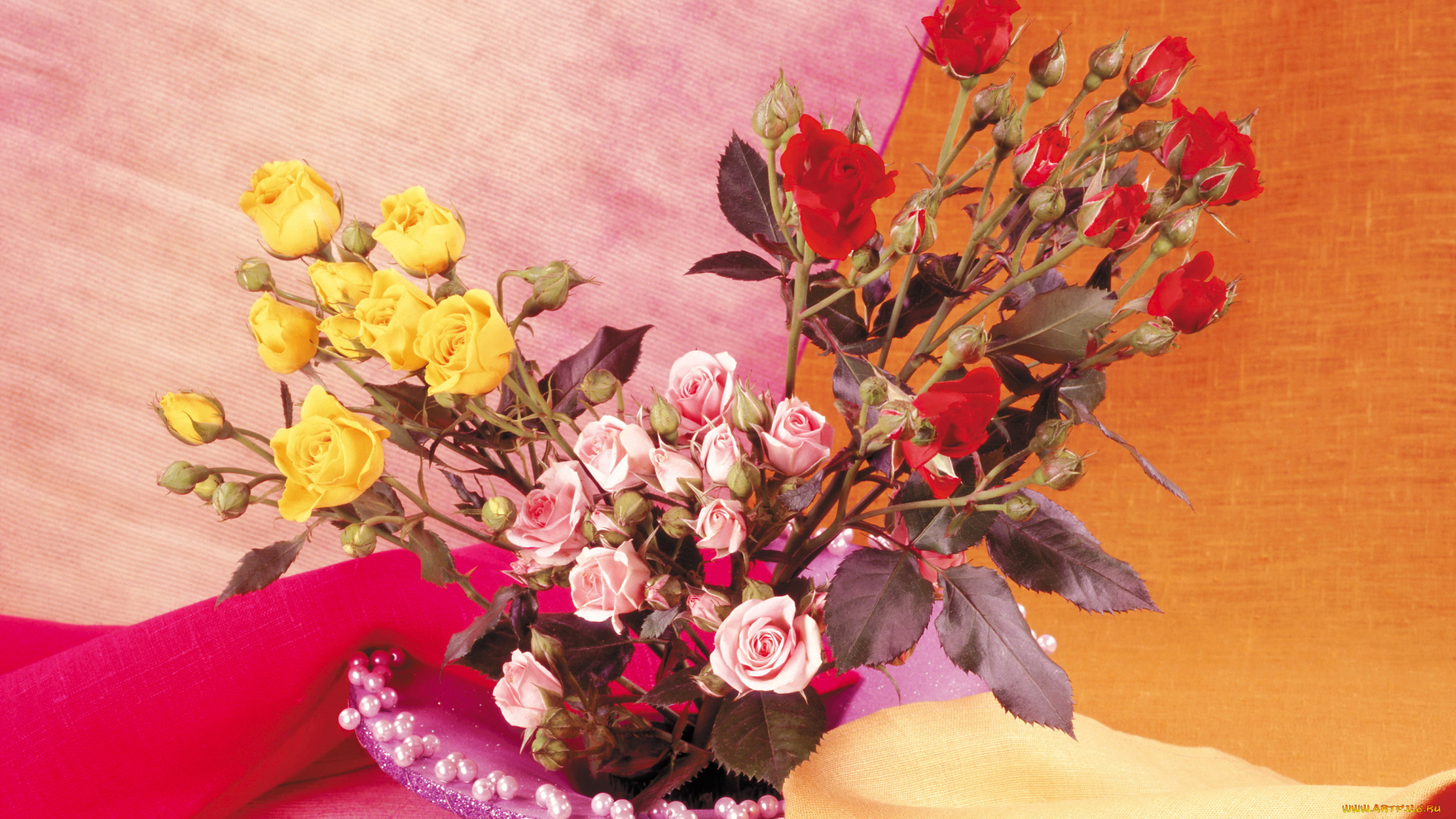 цветы, розы, ваза