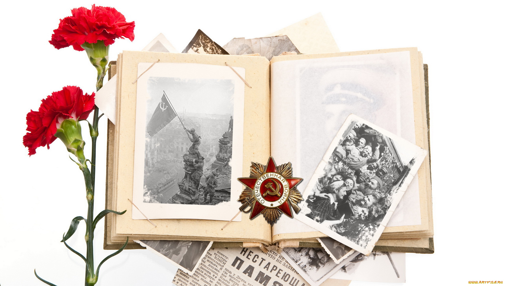 праздничные, день, победы, гвоздики, орден, фотографии, альбом